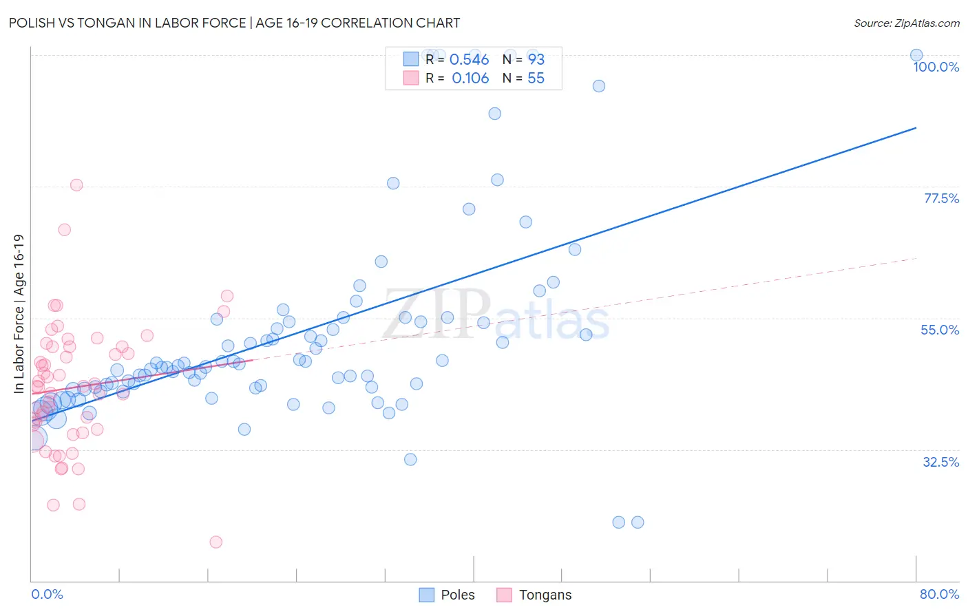 Polish vs Tongan In Labor Force | Age 16-19
