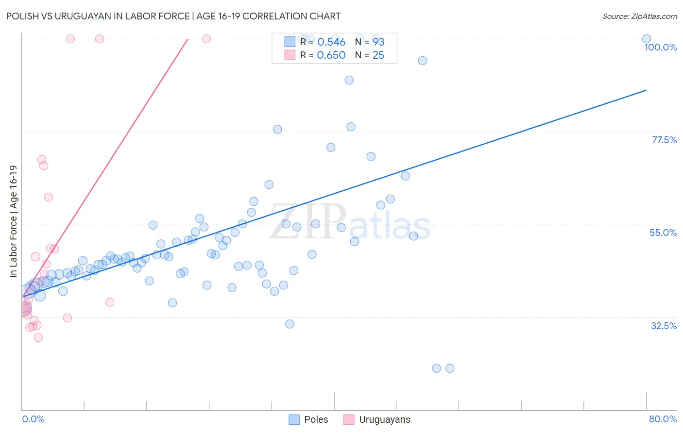 Polish vs Uruguayan In Labor Force | Age 16-19