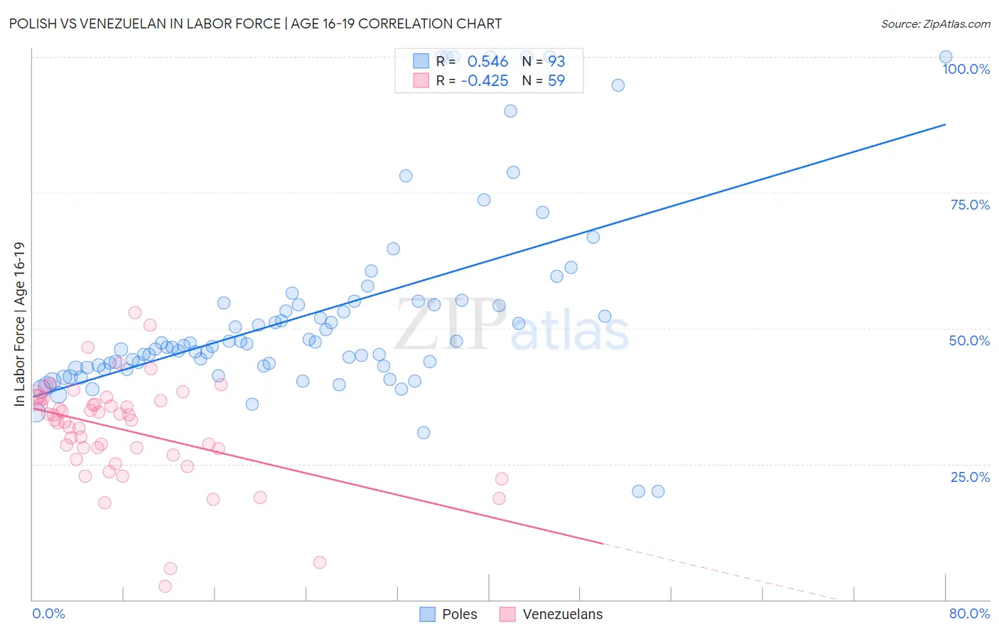 Polish vs Venezuelan In Labor Force | Age 16-19
