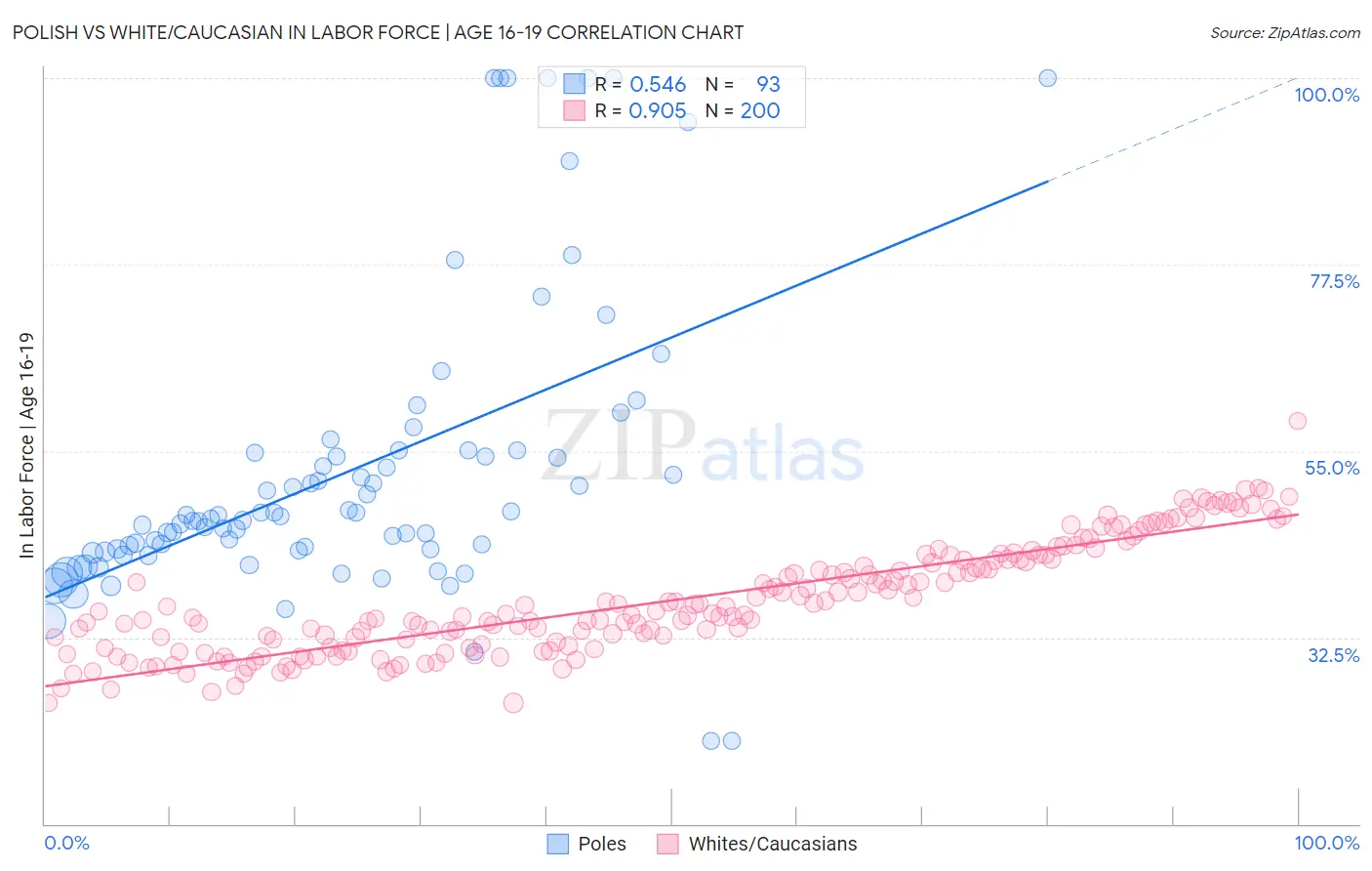 Polish vs White/Caucasian In Labor Force | Age 16-19