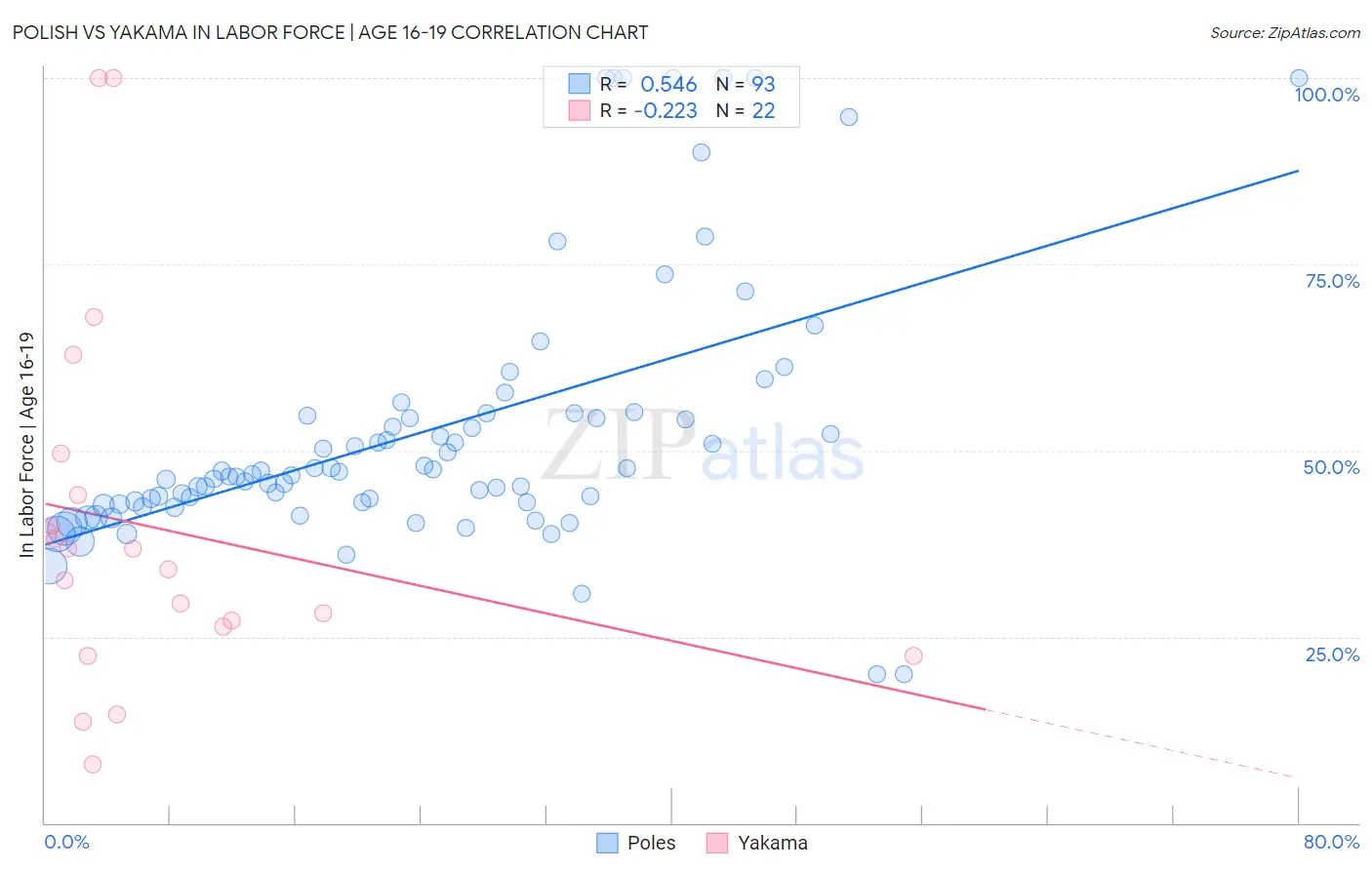 Polish vs Yakama In Labor Force | Age 16-19