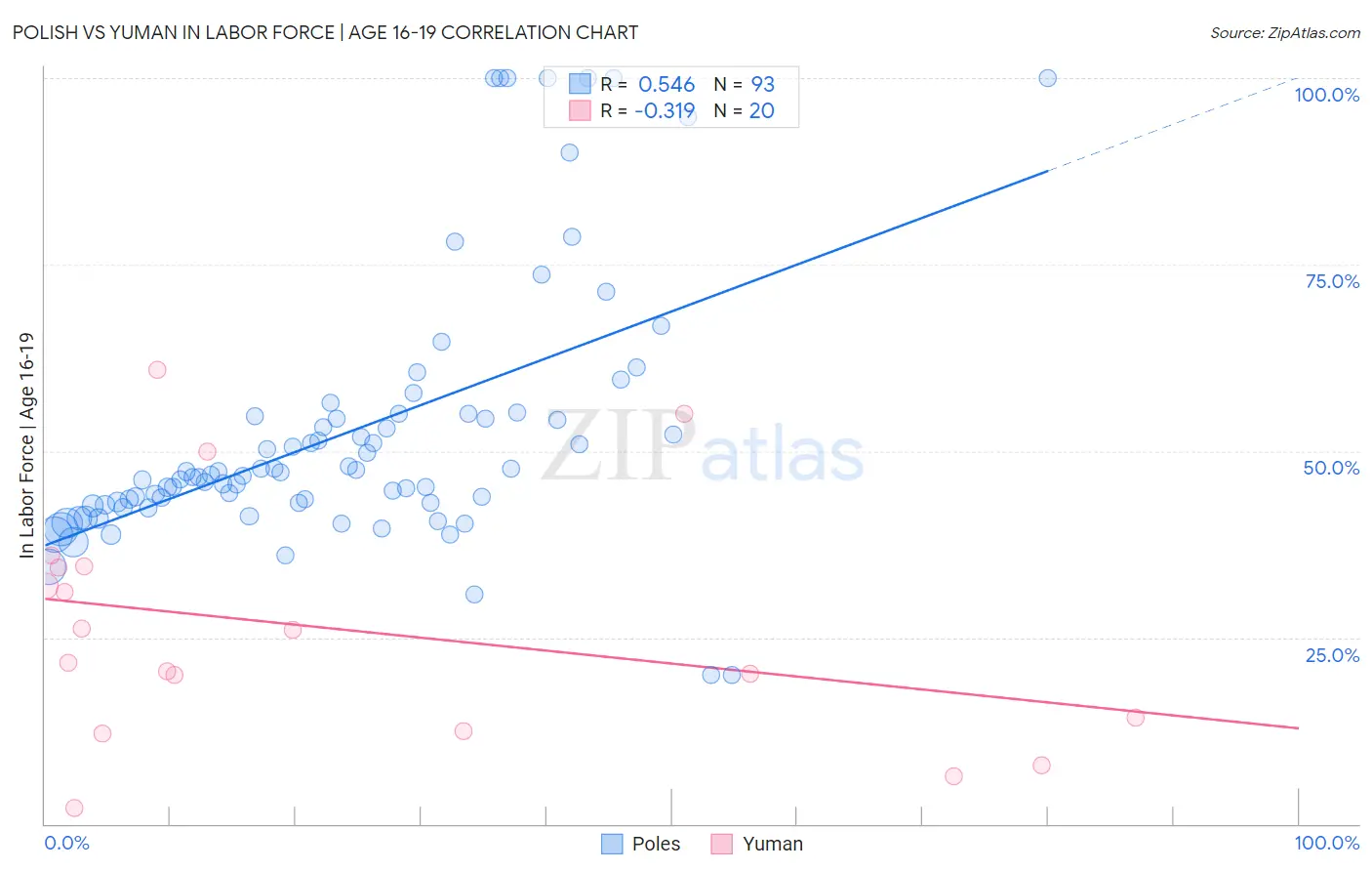 Polish vs Yuman In Labor Force | Age 16-19