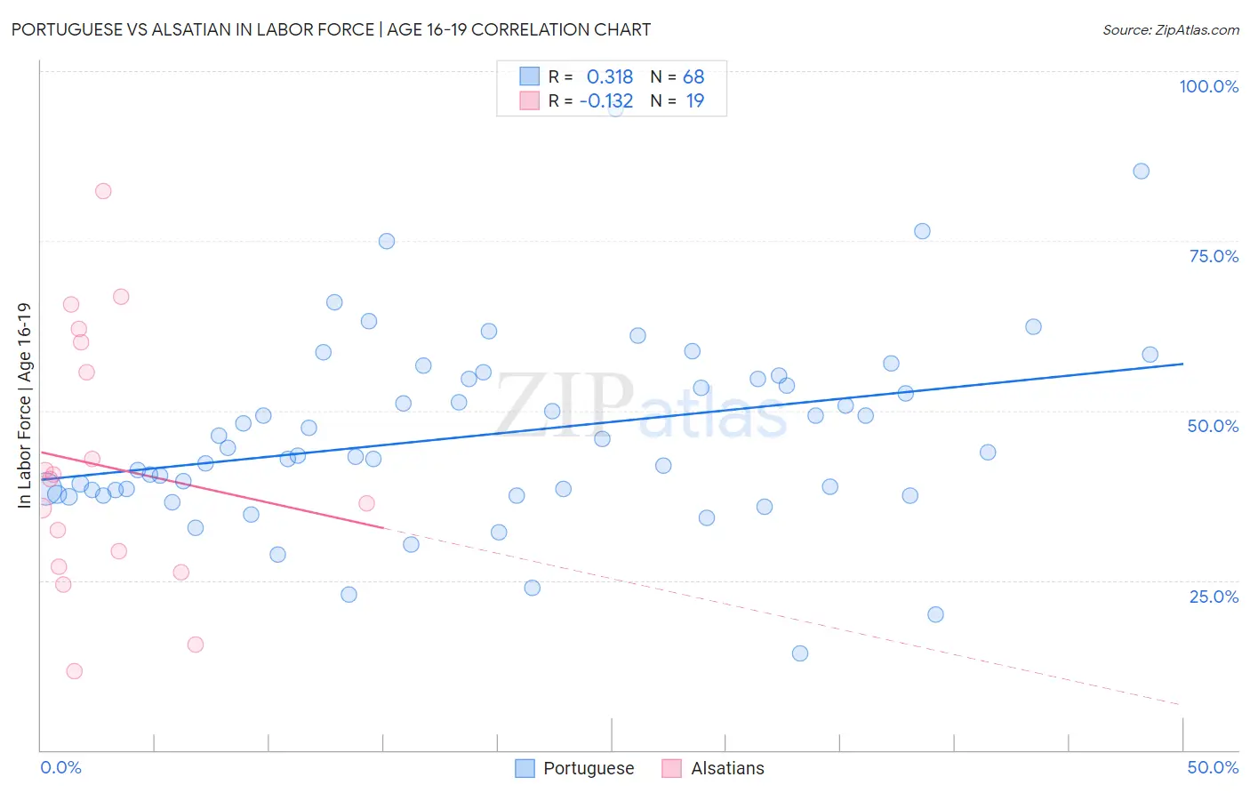 Portuguese vs Alsatian In Labor Force | Age 16-19
