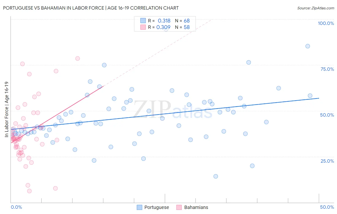 Portuguese vs Bahamian In Labor Force | Age 16-19