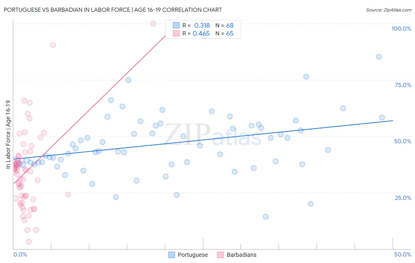 Portuguese vs Barbadian In Labor Force | Age 16-19