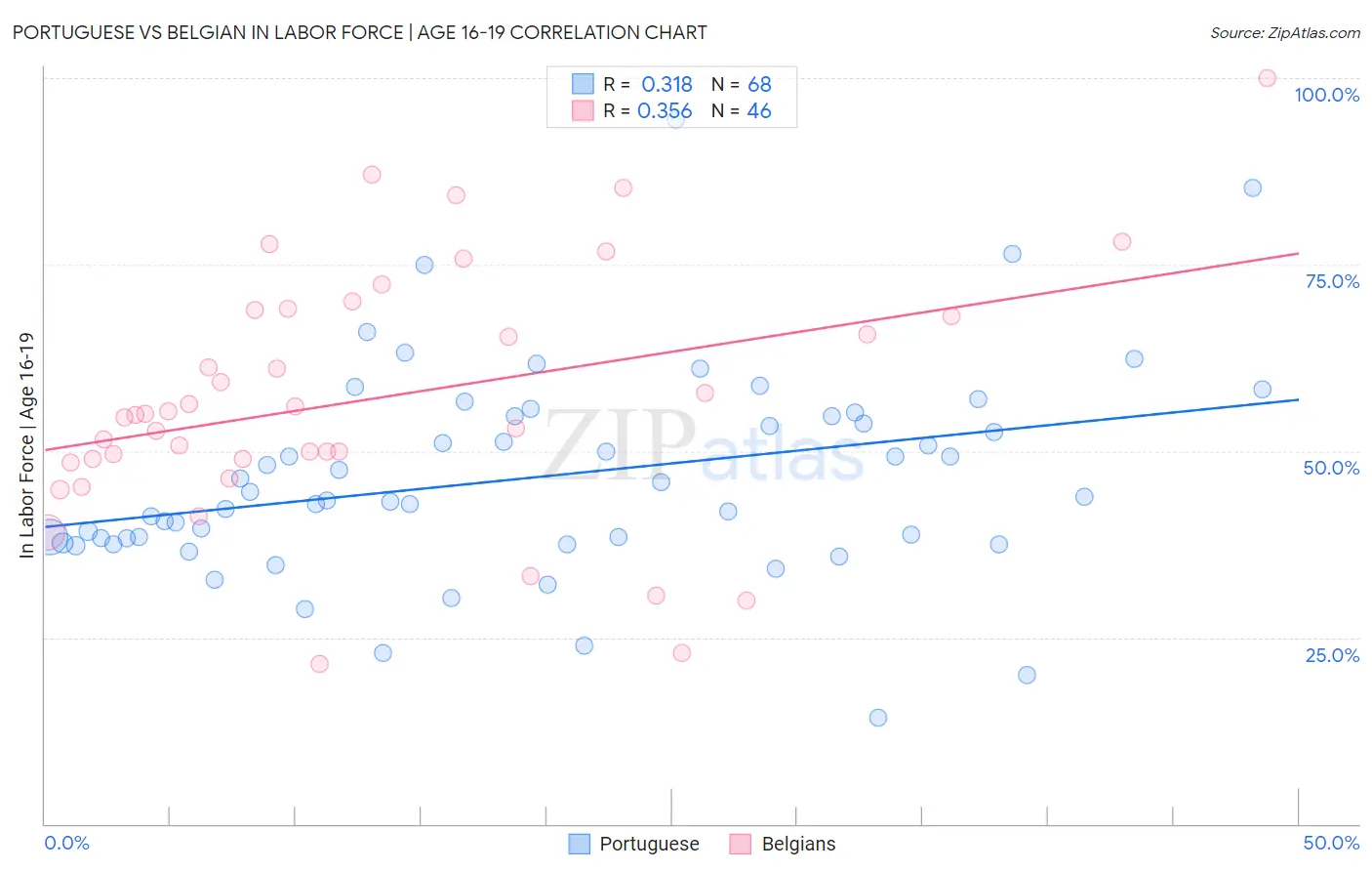 Portuguese vs Belgian In Labor Force | Age 16-19