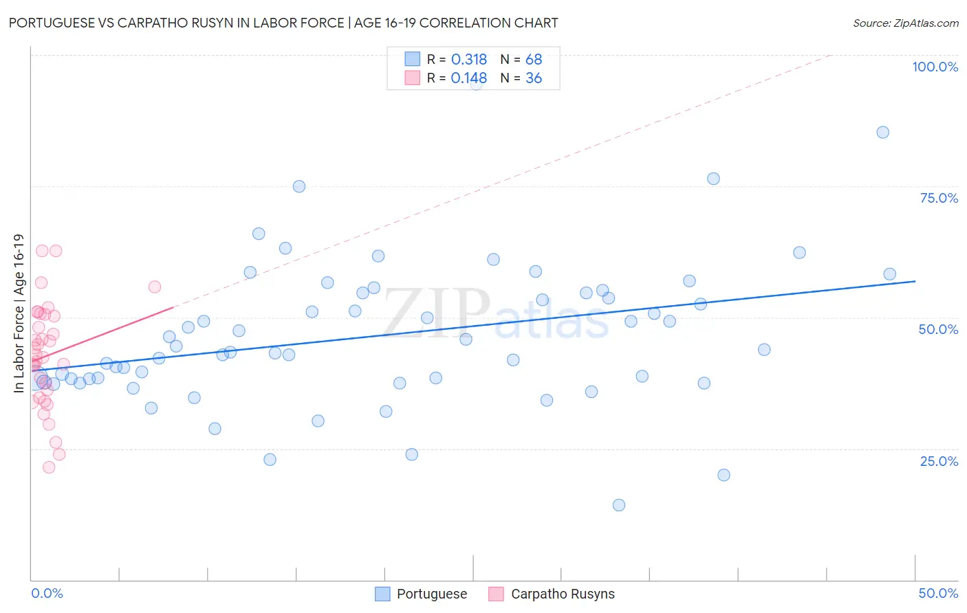 Portuguese vs Carpatho Rusyn In Labor Force | Age 16-19