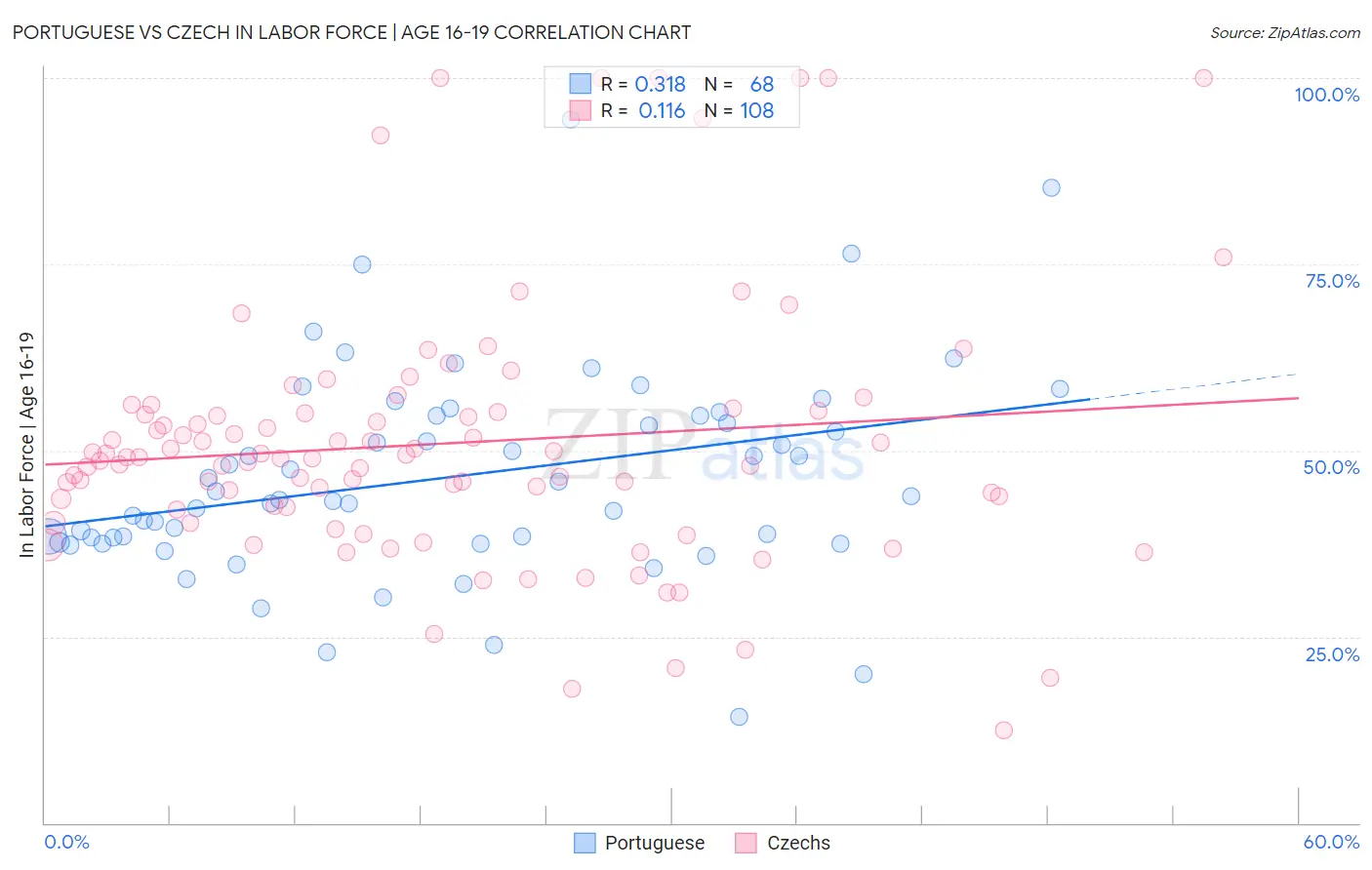 Portuguese vs Czech In Labor Force | Age 16-19