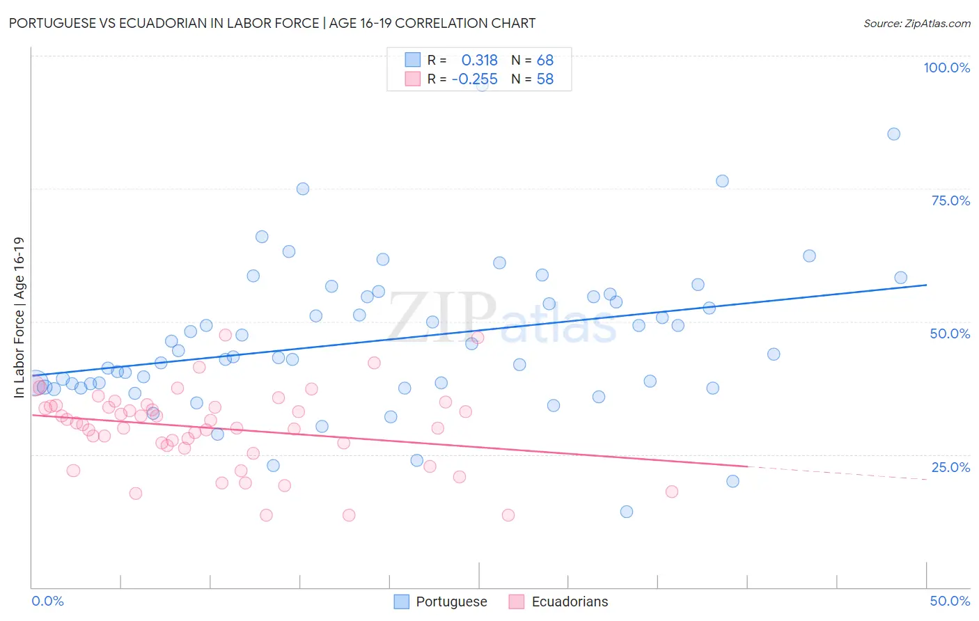 Portuguese vs Ecuadorian In Labor Force | Age 16-19