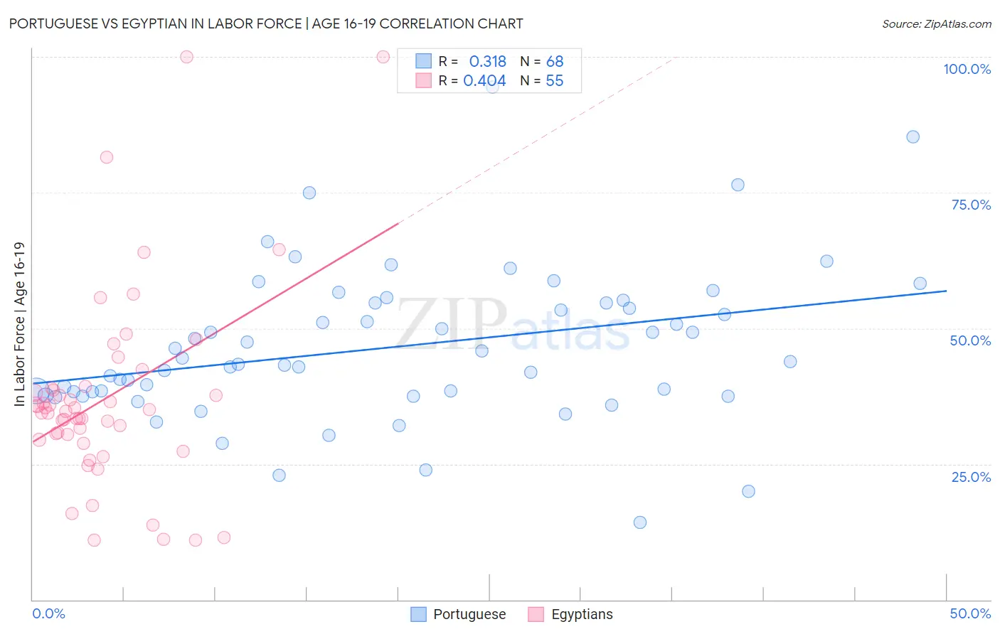 Portuguese vs Egyptian In Labor Force | Age 16-19