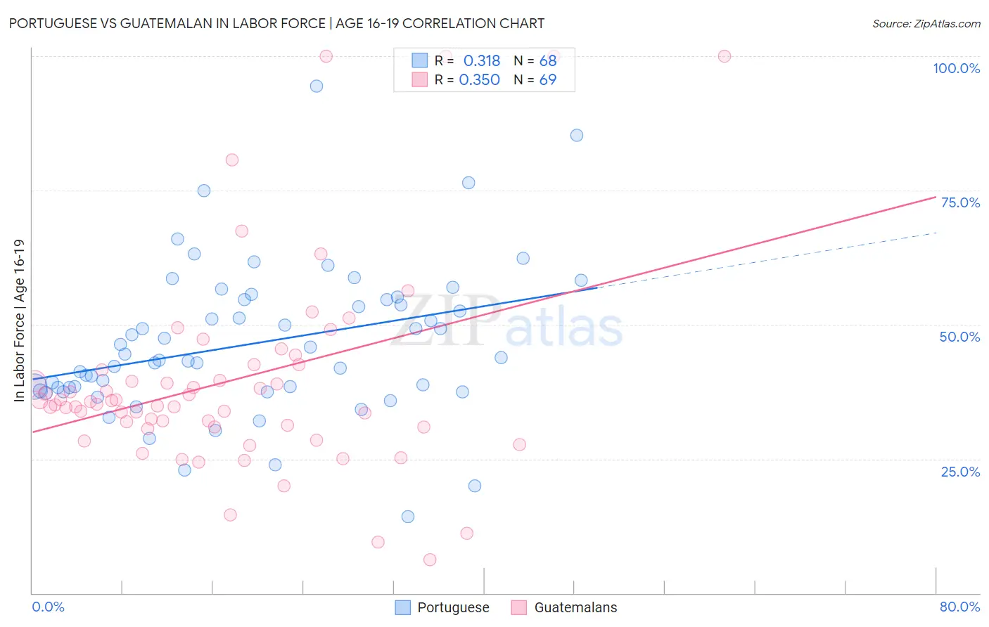 Portuguese vs Guatemalan In Labor Force | Age 16-19