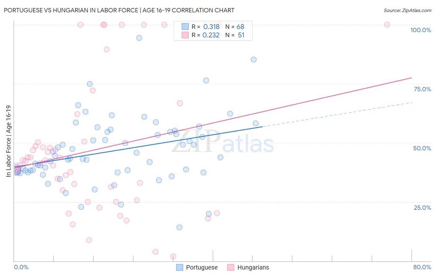 Portuguese vs Hungarian In Labor Force | Age 16-19