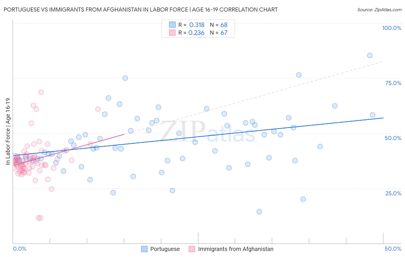 Portuguese vs Immigrants from Afghanistan In Labor Force | Age 16-19