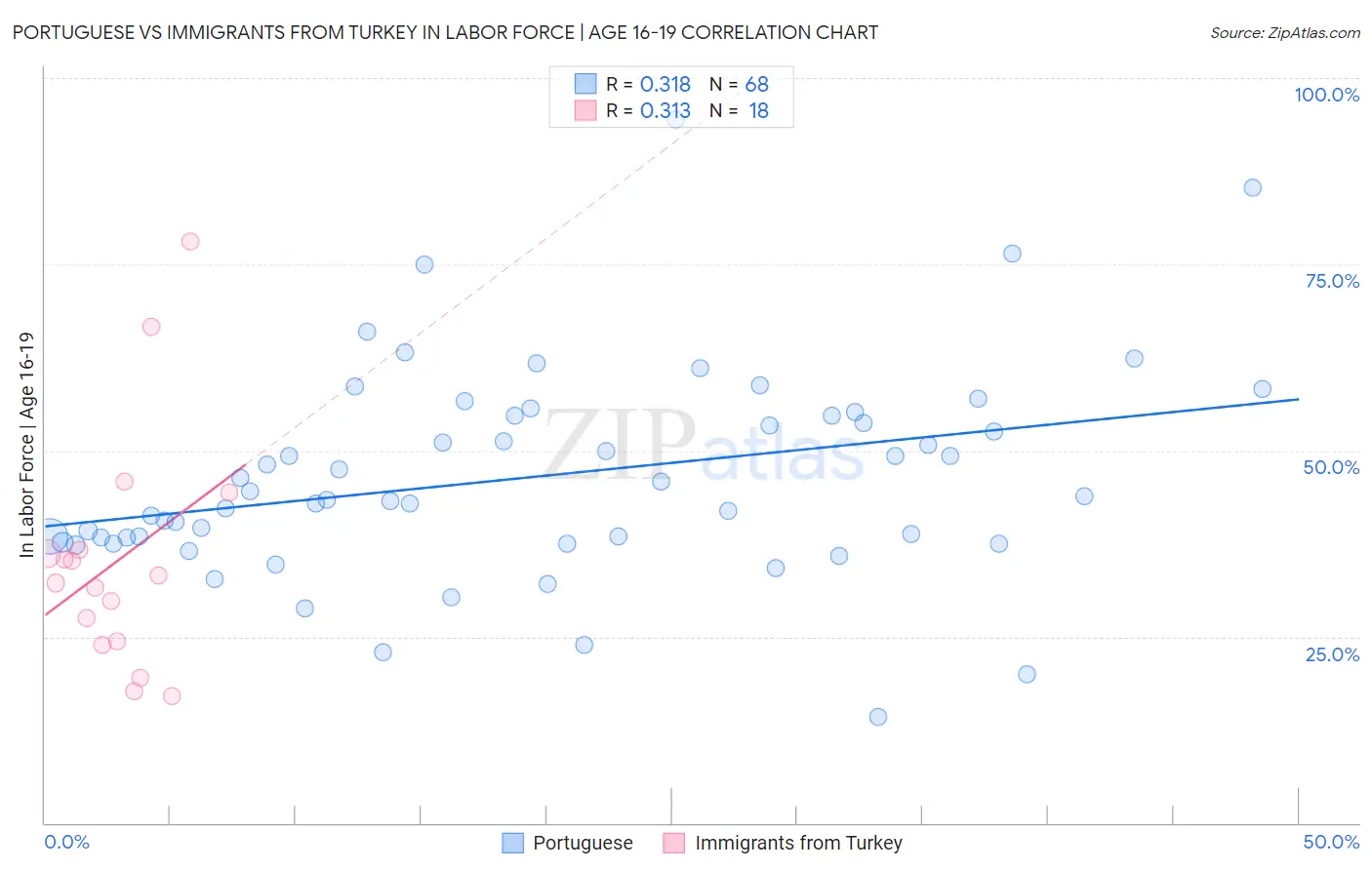 Portuguese vs Immigrants from Turkey In Labor Force | Age 16-19