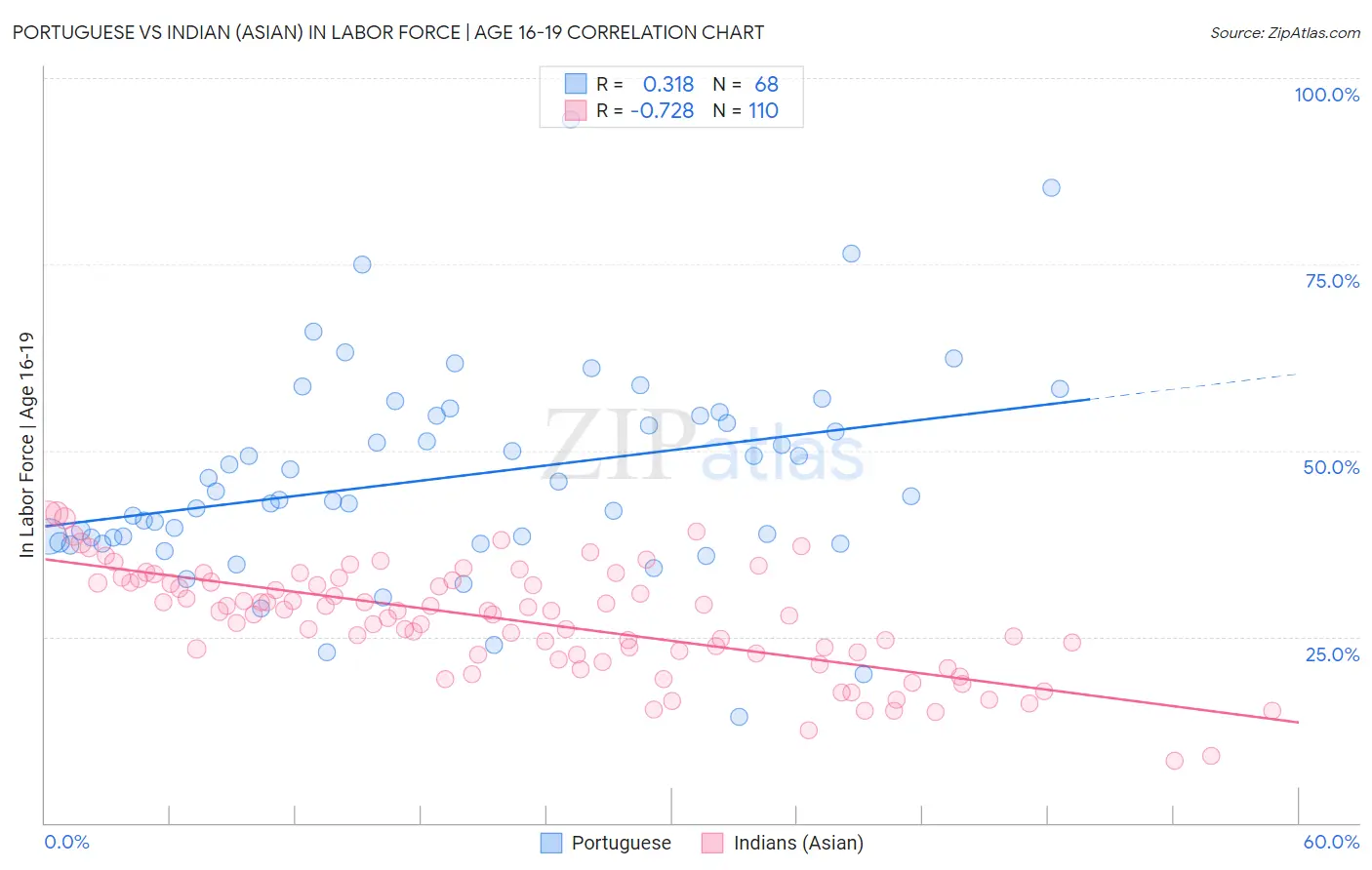 Portuguese vs Indian (Asian) In Labor Force | Age 16-19