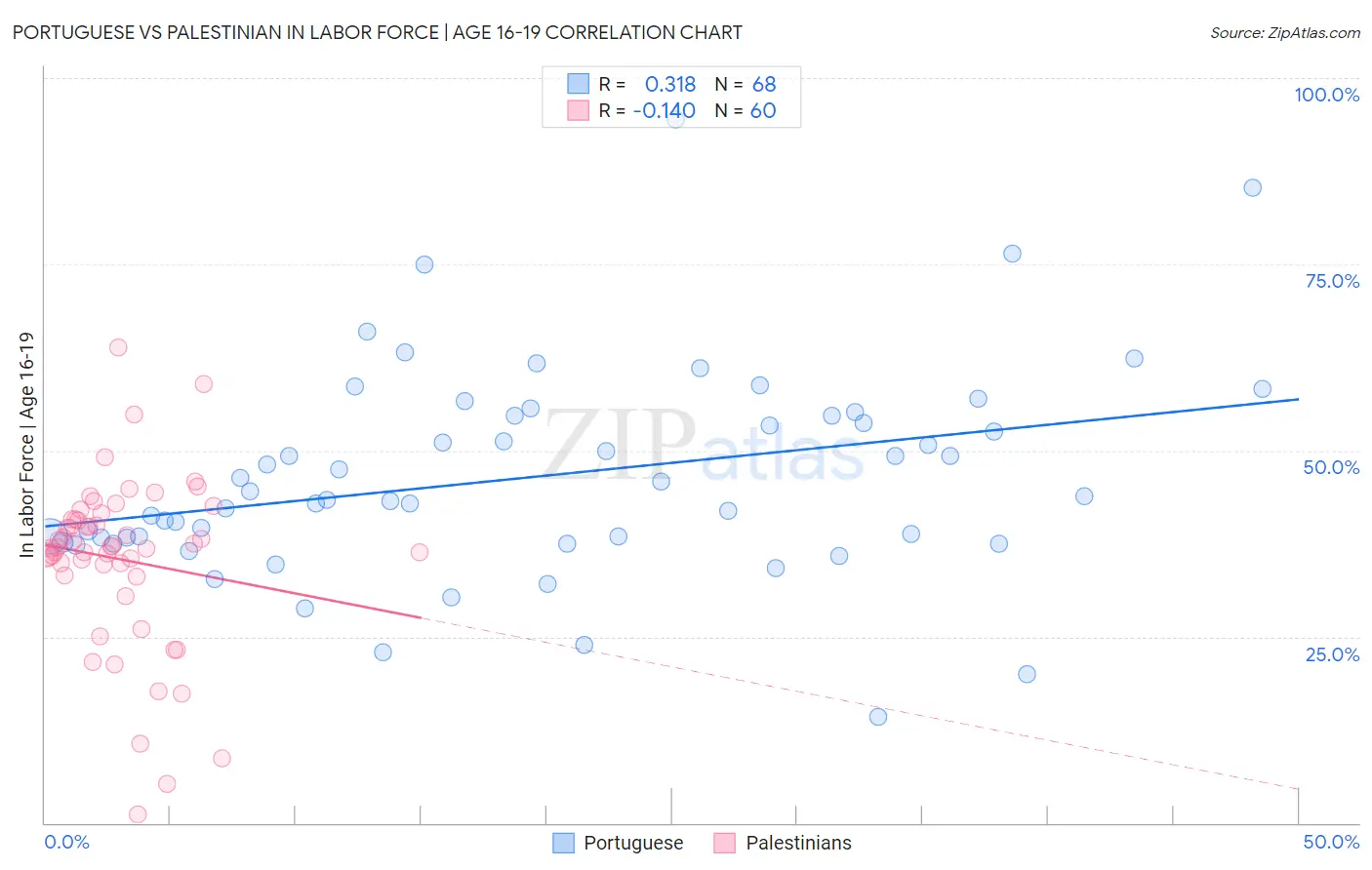 Portuguese vs Palestinian In Labor Force | Age 16-19