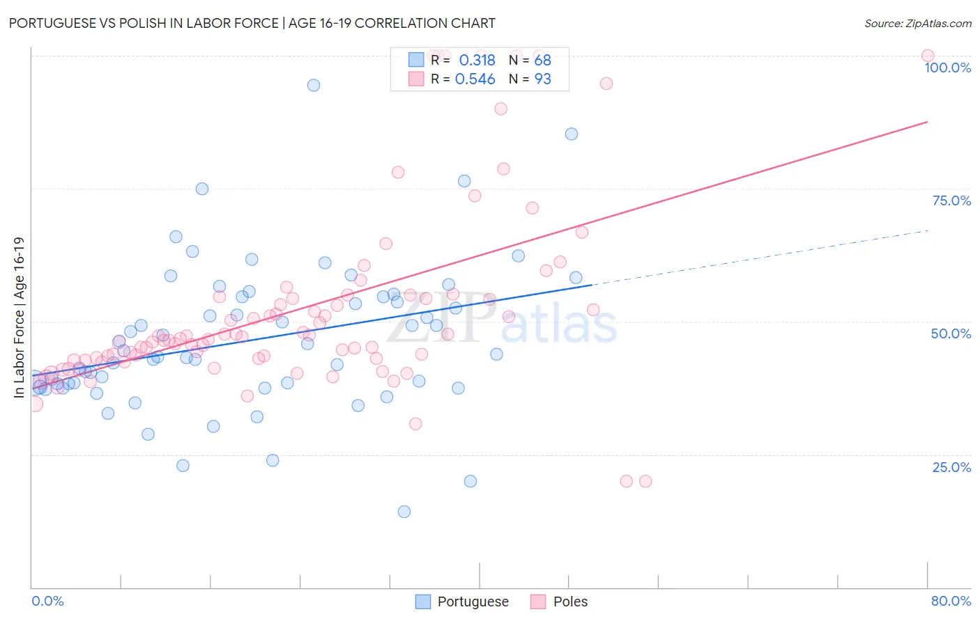 Portuguese vs Polish In Labor Force | Age 16-19