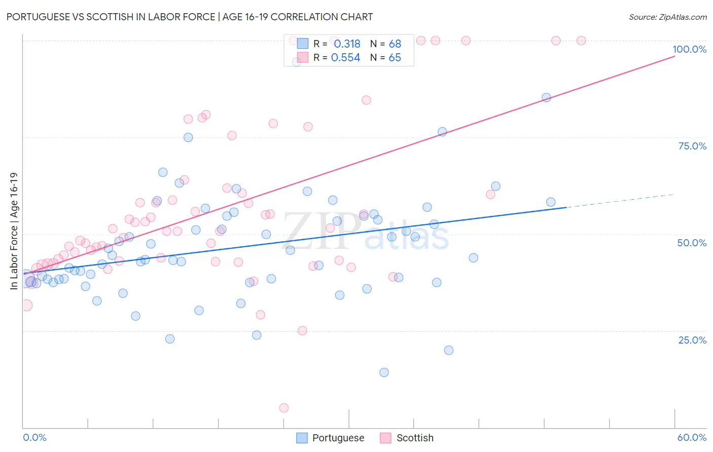 Portuguese vs Scottish In Labor Force | Age 16-19