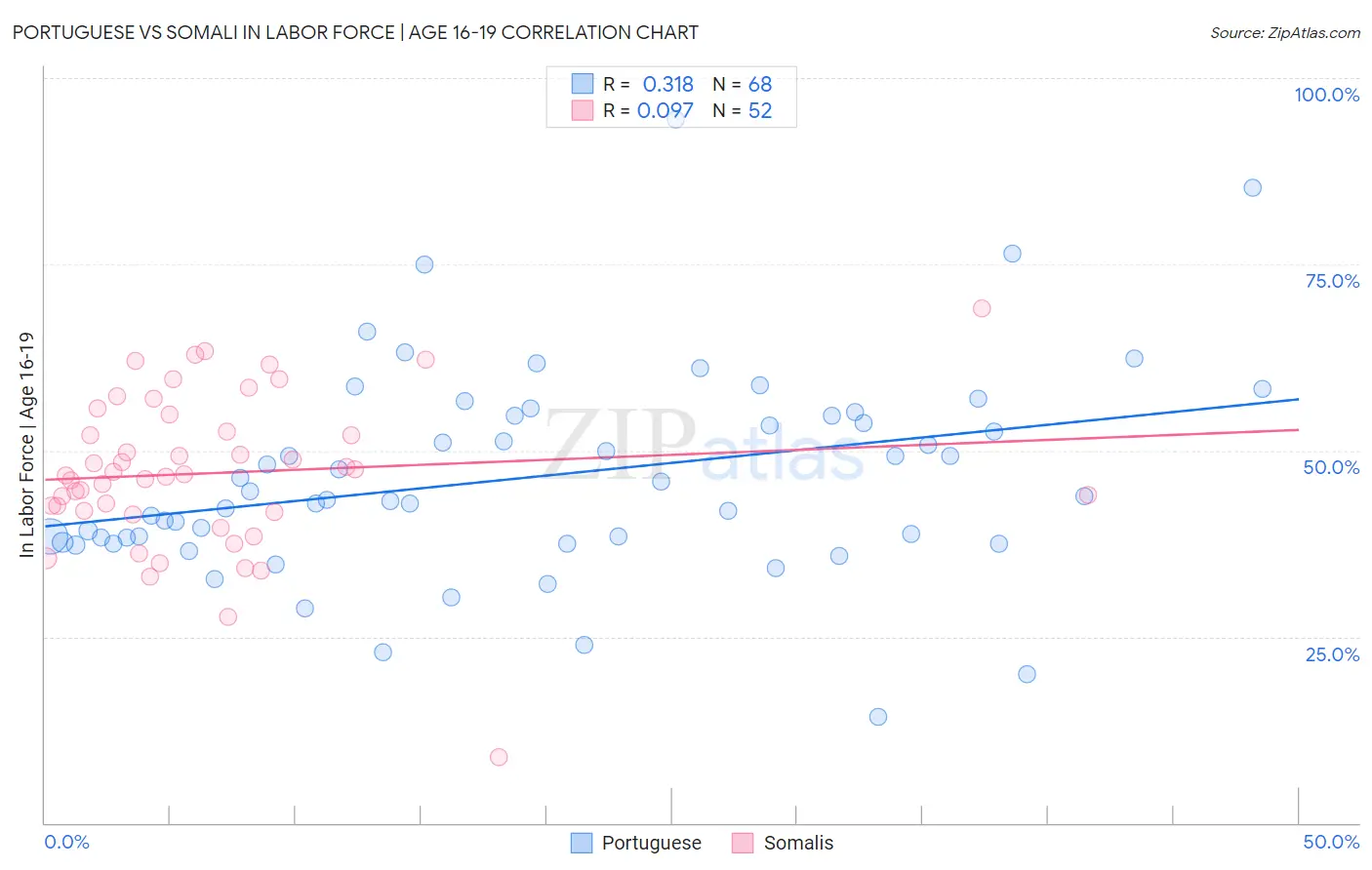 Portuguese vs Somali In Labor Force | Age 16-19