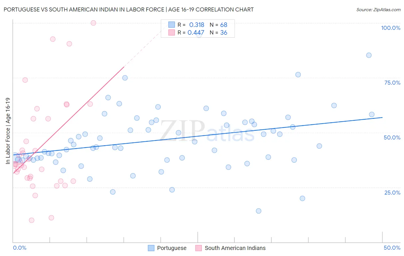 Portuguese vs South American Indian In Labor Force | Age 16-19
