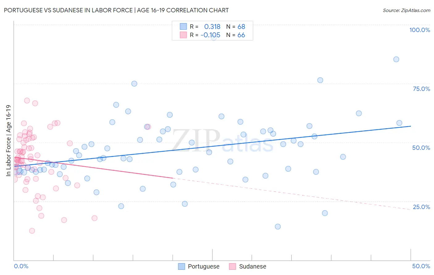 Portuguese vs Sudanese In Labor Force | Age 16-19