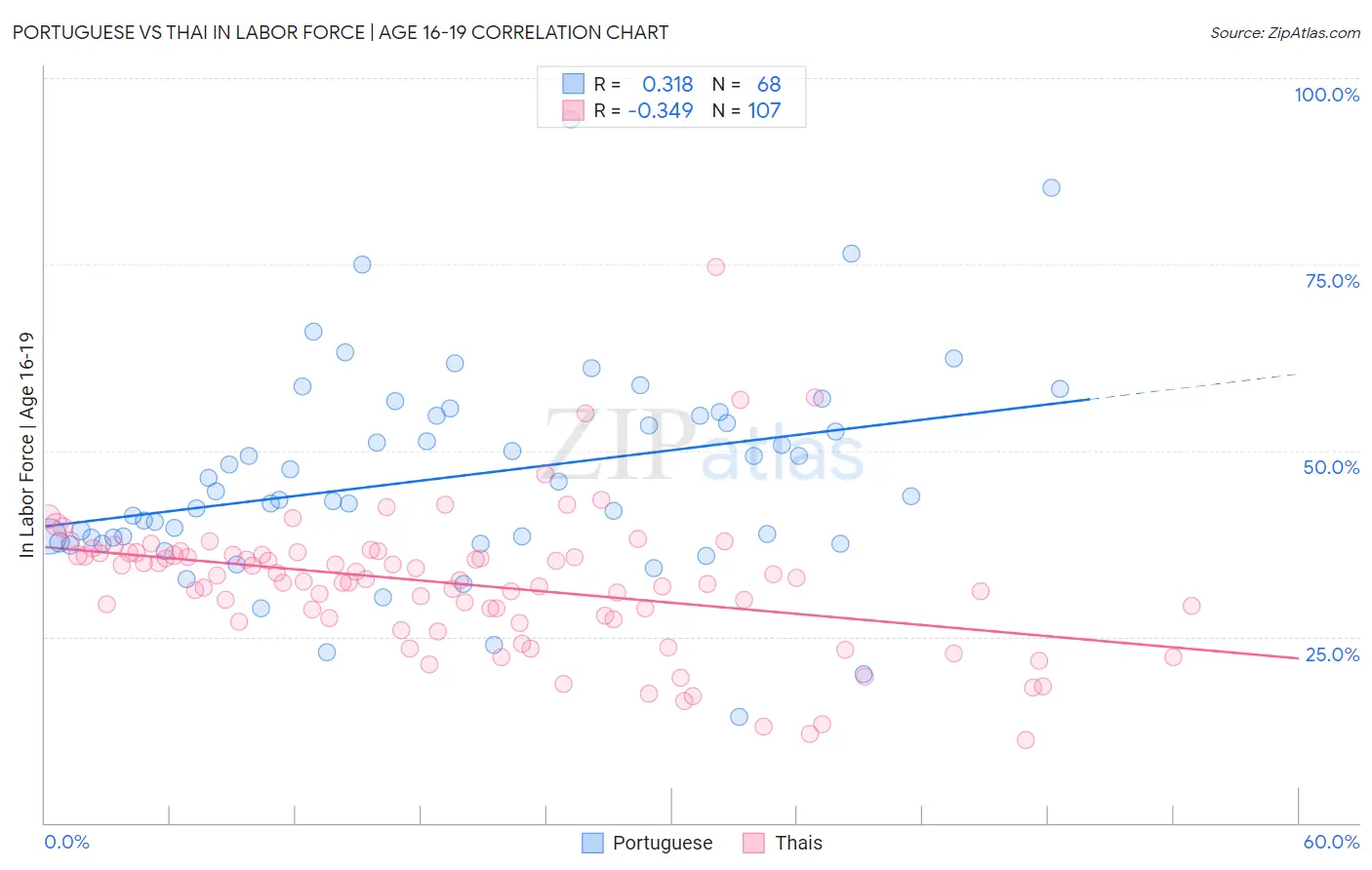Portuguese vs Thai In Labor Force | Age 16-19
