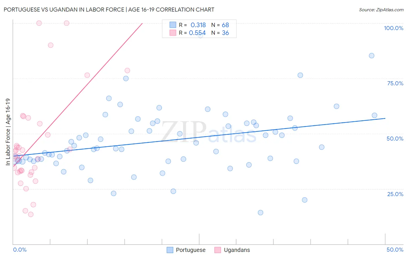 Portuguese vs Ugandan In Labor Force | Age 16-19