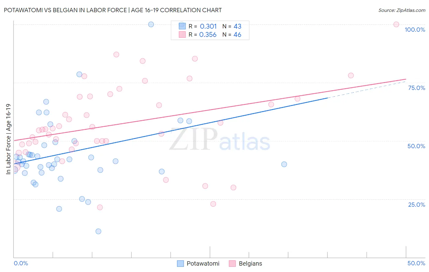 Potawatomi vs Belgian In Labor Force | Age 16-19