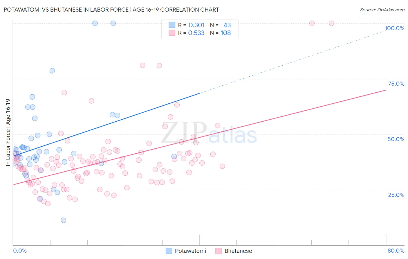 Potawatomi vs Bhutanese In Labor Force | Age 16-19