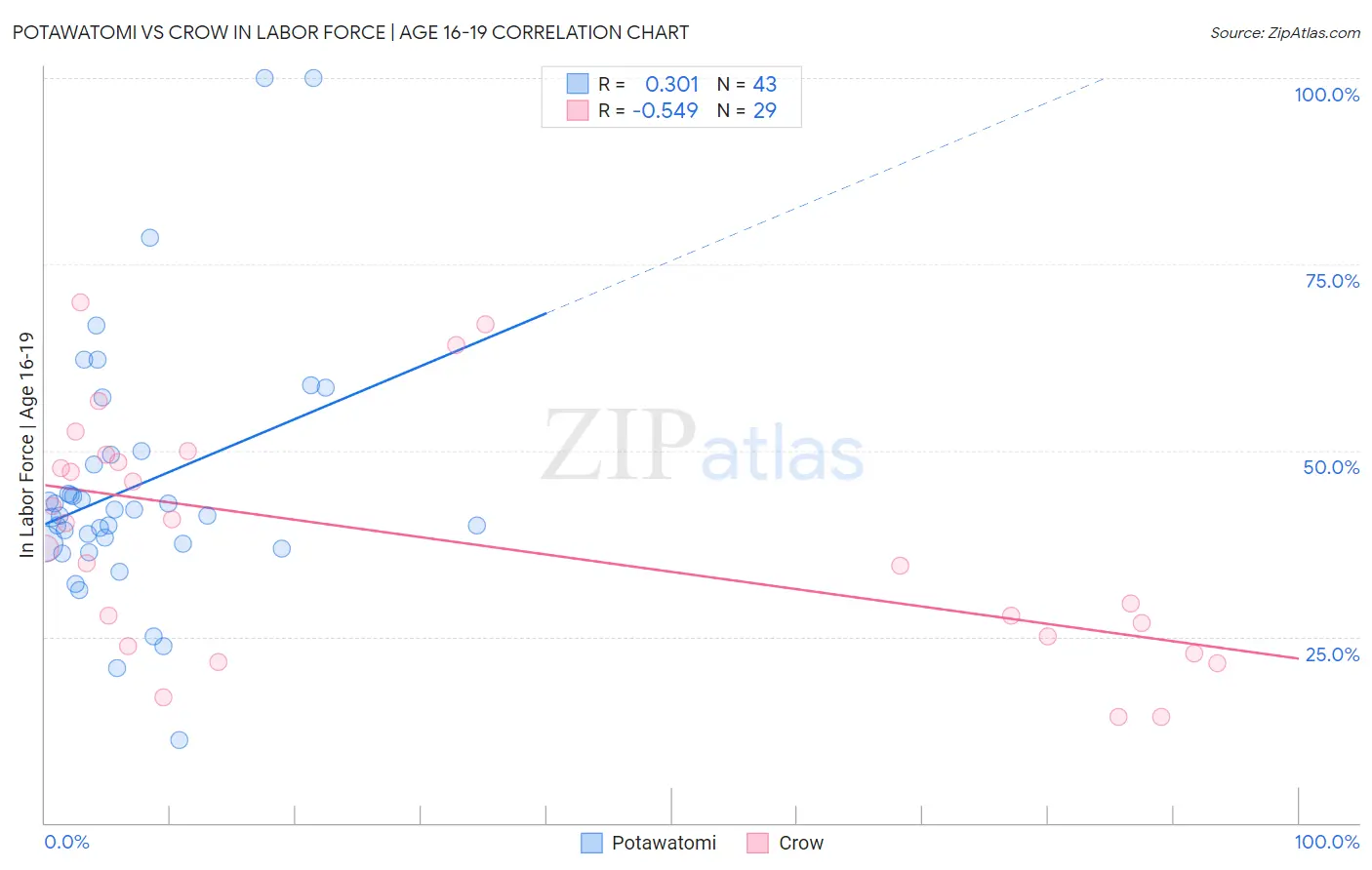 Potawatomi vs Crow In Labor Force | Age 16-19