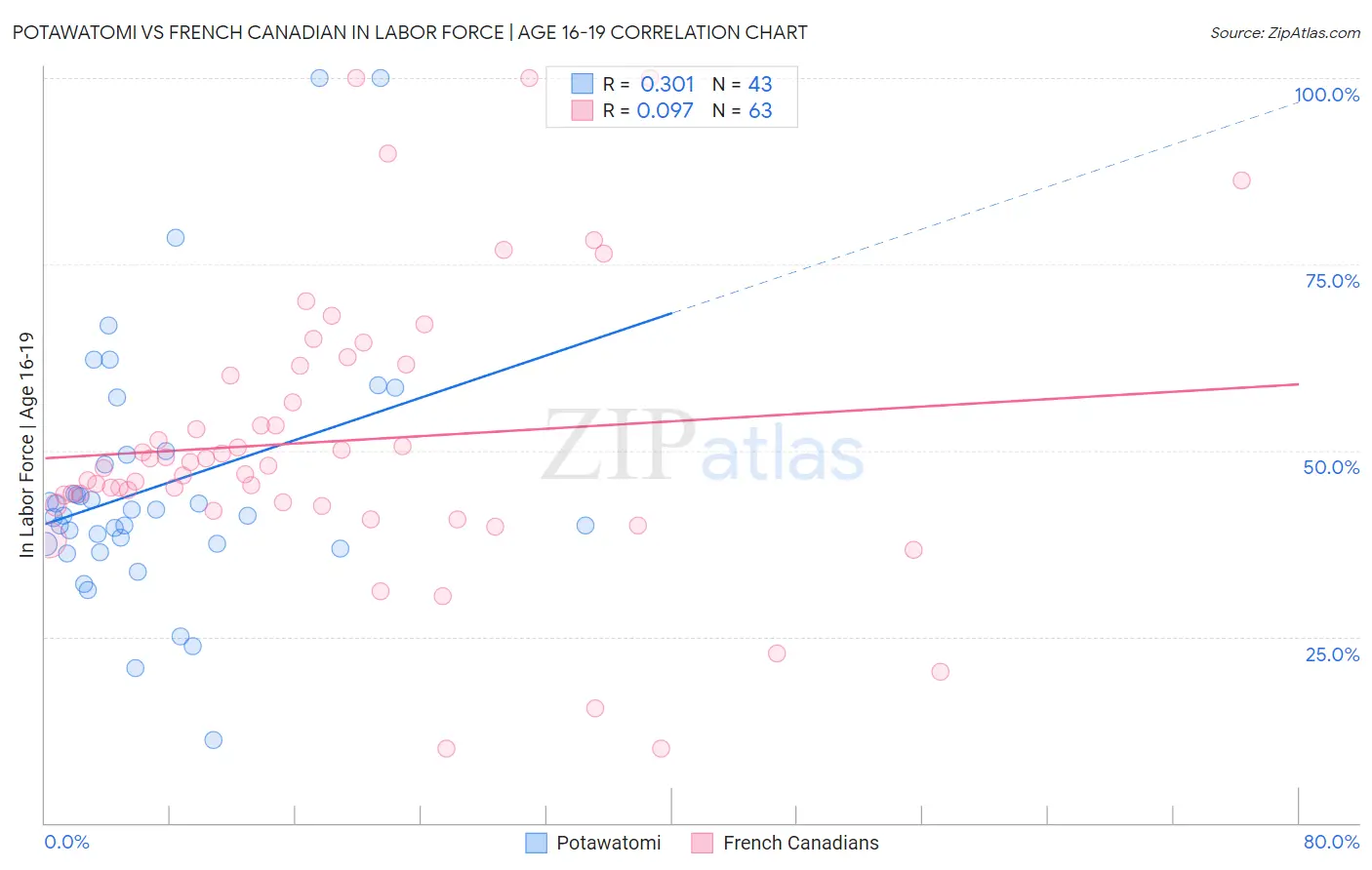 Potawatomi vs French Canadian In Labor Force | Age 16-19