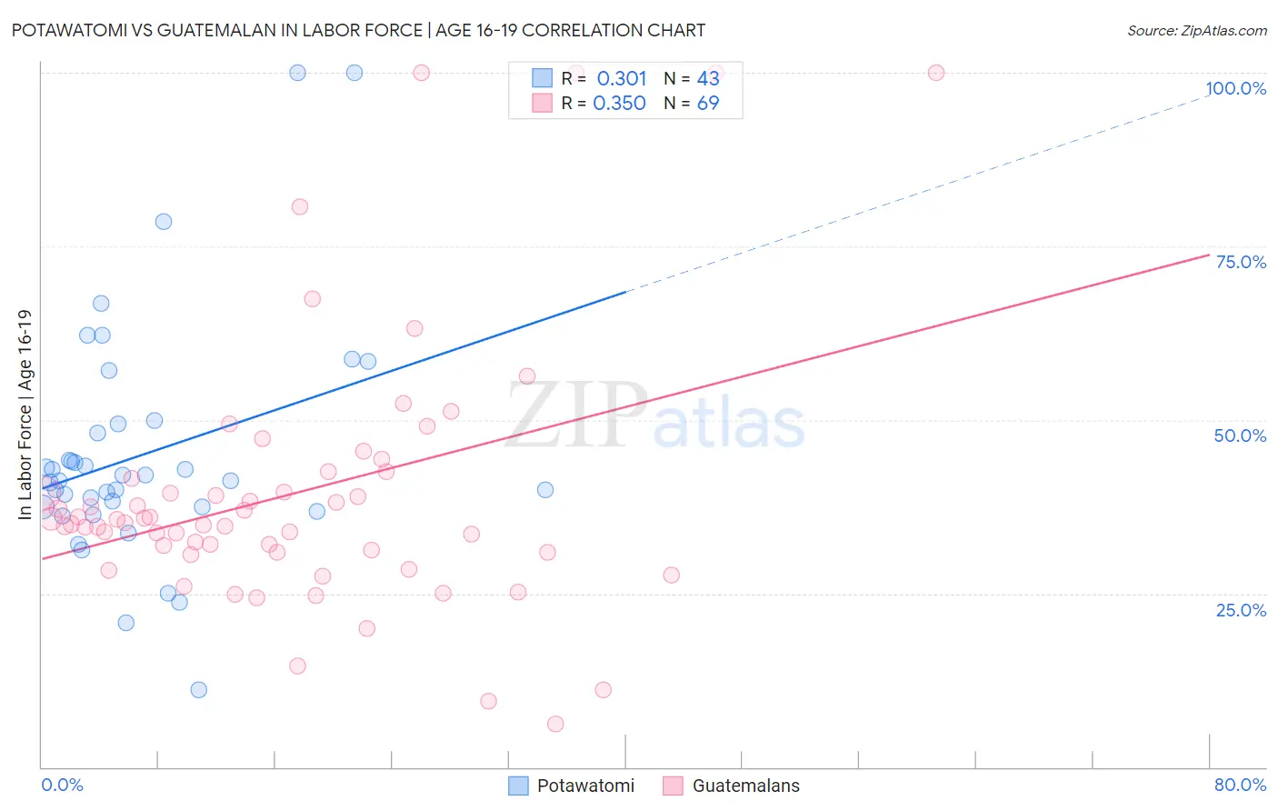 Potawatomi vs Guatemalan In Labor Force | Age 16-19