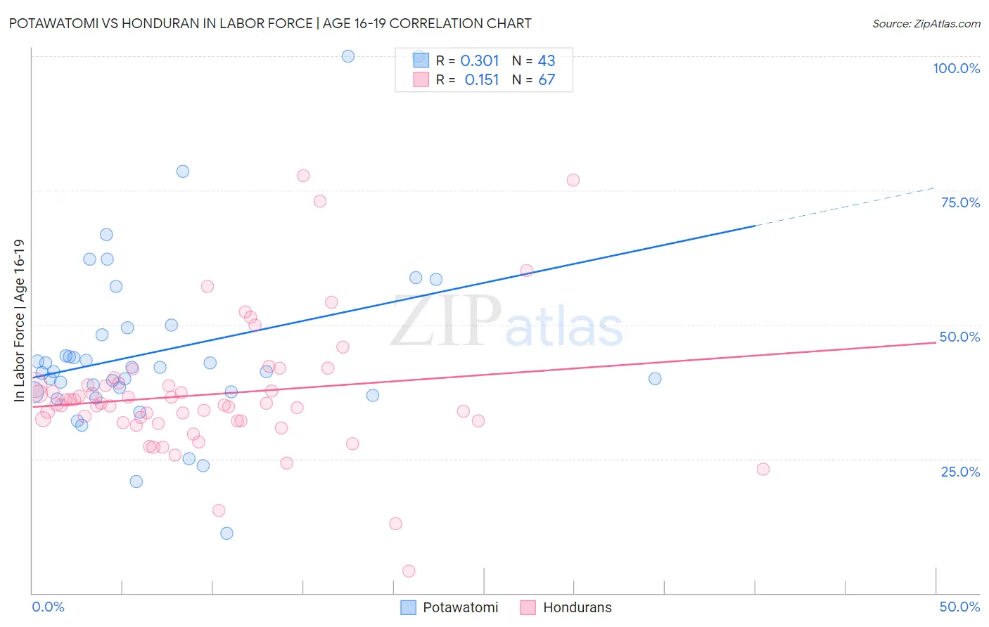 Potawatomi vs Honduran In Labor Force | Age 16-19