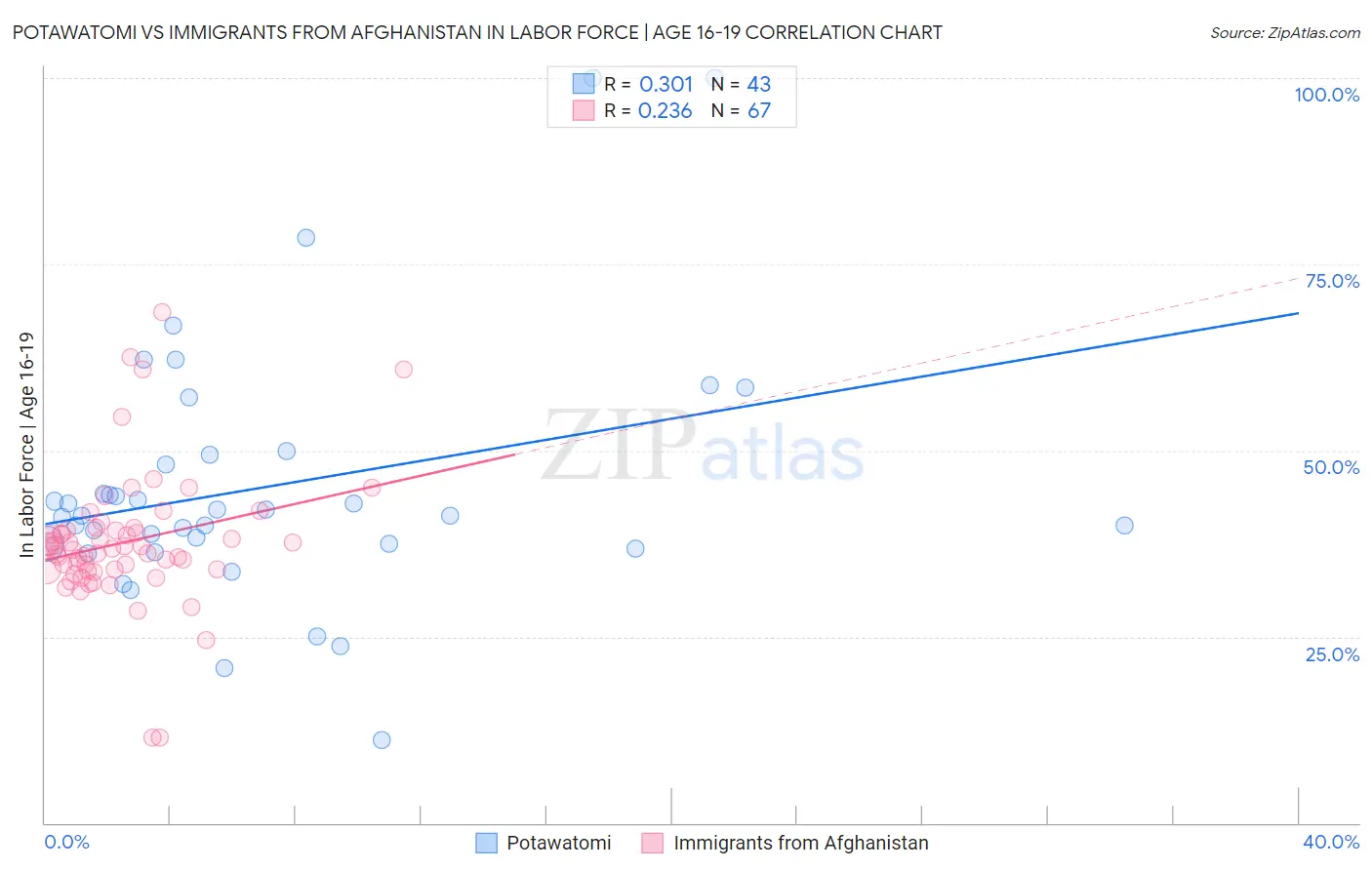 Potawatomi vs Immigrants from Afghanistan In Labor Force | Age 16-19