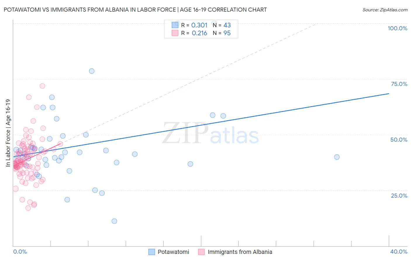 Potawatomi vs Immigrants from Albania In Labor Force | Age 16-19