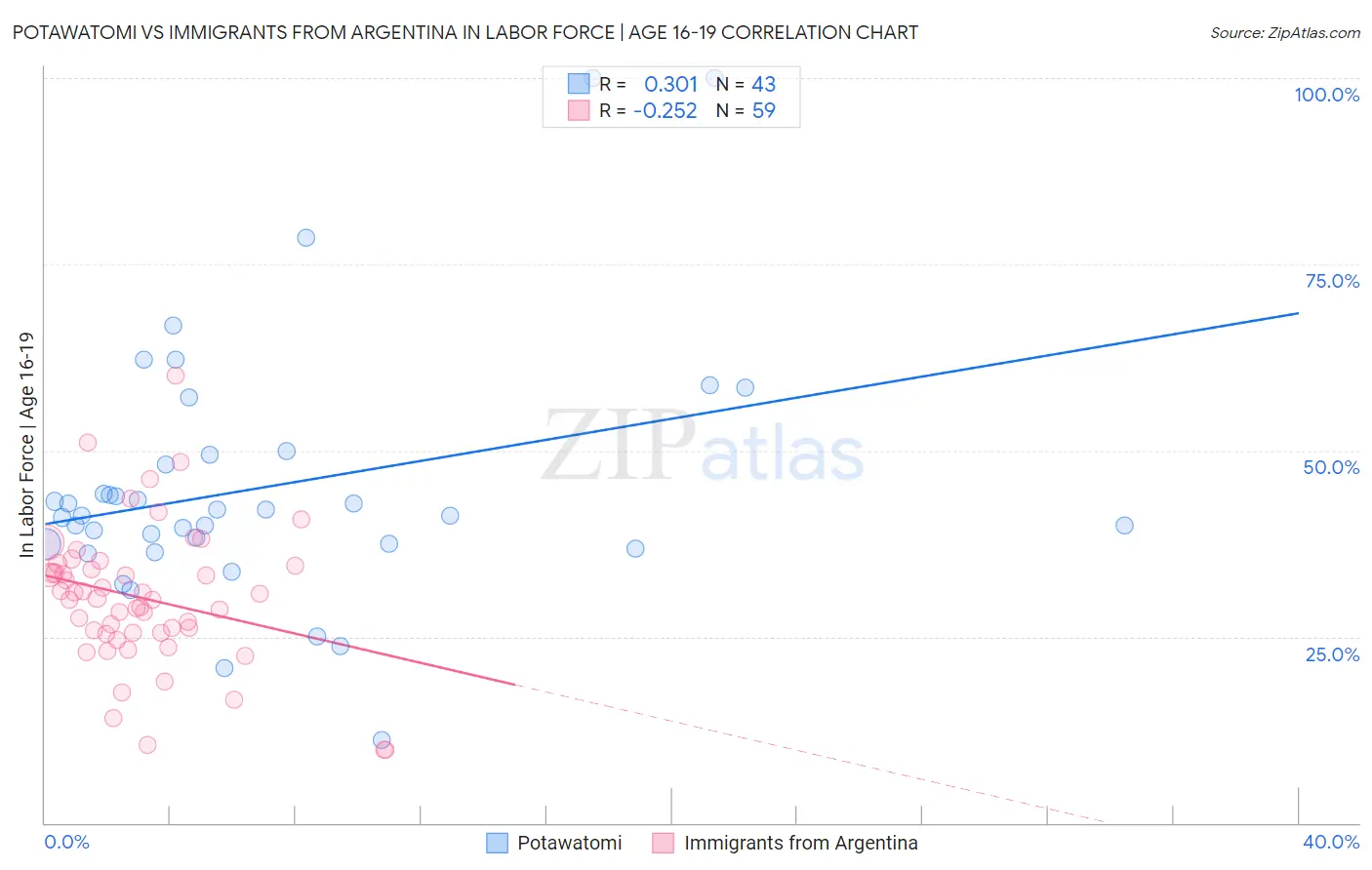 Potawatomi vs Immigrants from Argentina In Labor Force | Age 16-19
