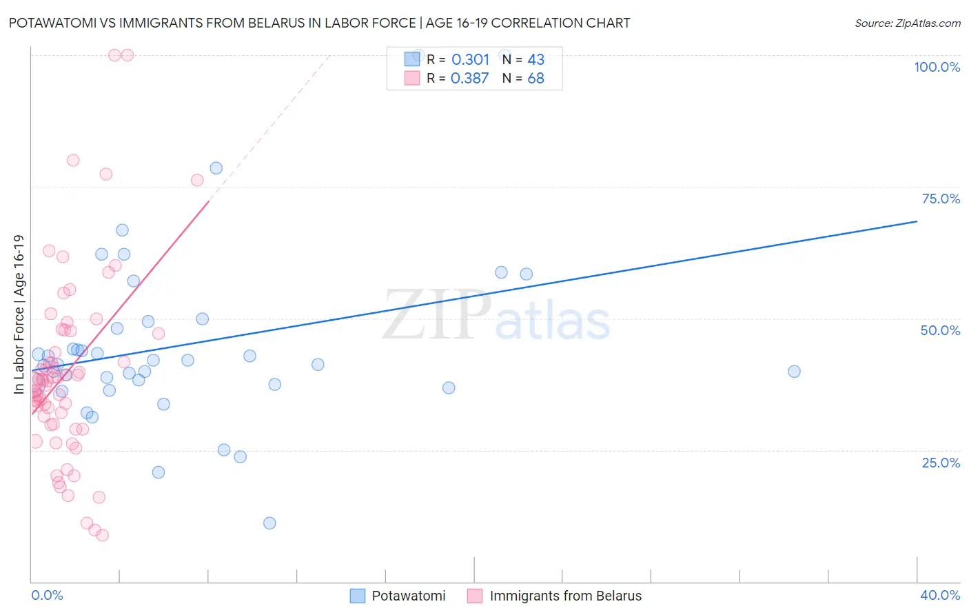 Potawatomi vs Immigrants from Belarus In Labor Force | Age 16-19