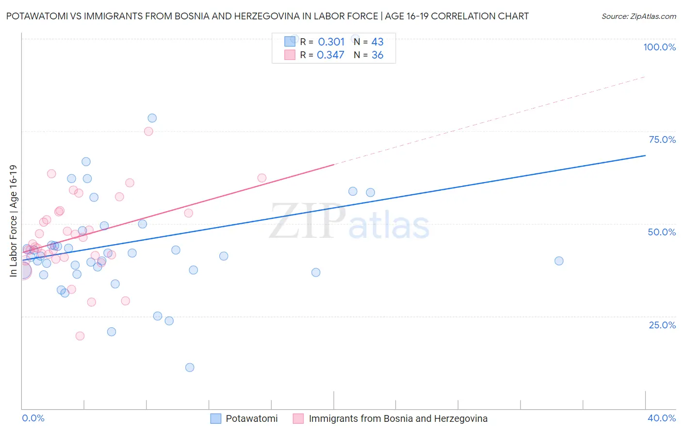 Potawatomi vs Immigrants from Bosnia and Herzegovina In Labor Force | Age 16-19