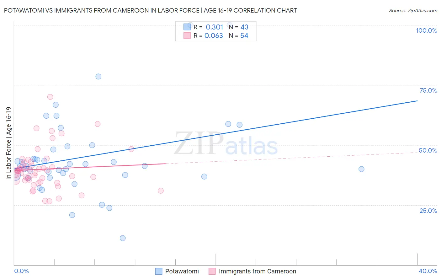 Potawatomi vs Immigrants from Cameroon In Labor Force | Age 16-19