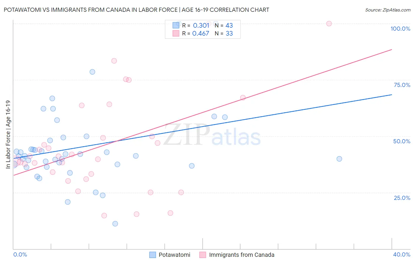Potawatomi vs Immigrants from Canada In Labor Force | Age 16-19