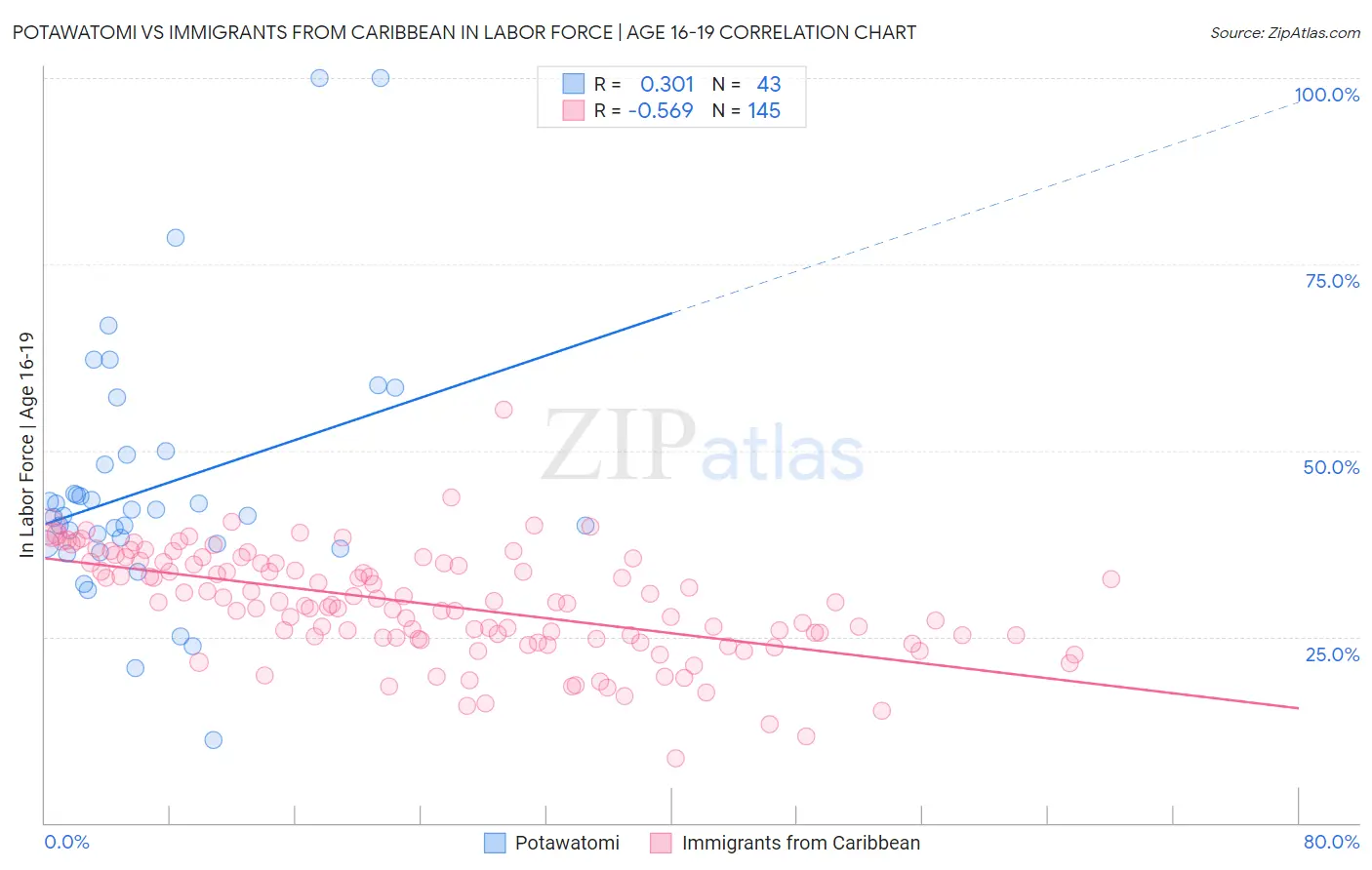 Potawatomi vs Immigrants from Caribbean In Labor Force | Age 16-19