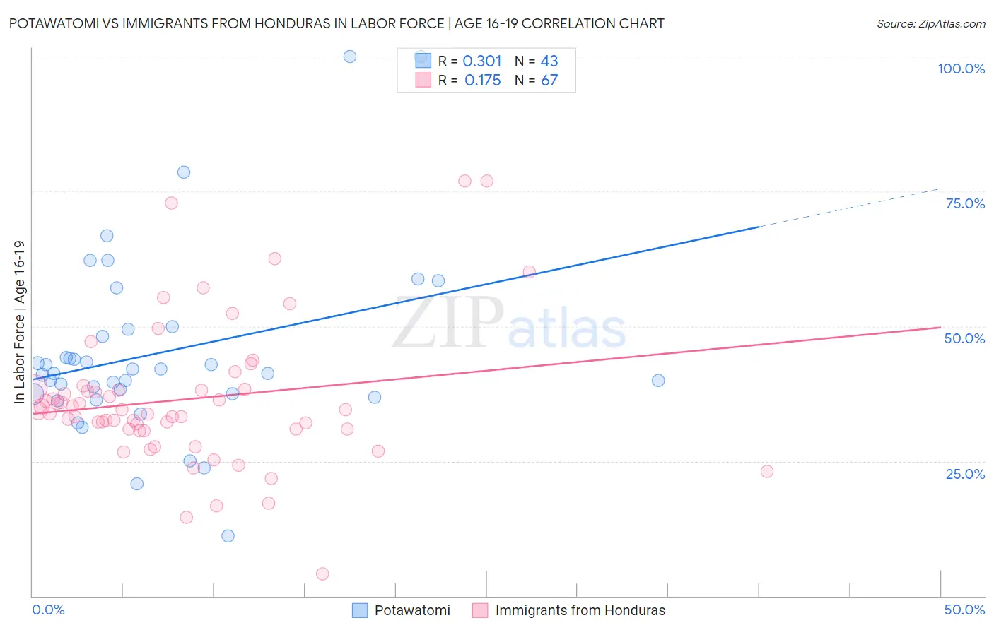 Potawatomi vs Immigrants from Honduras In Labor Force | Age 16-19