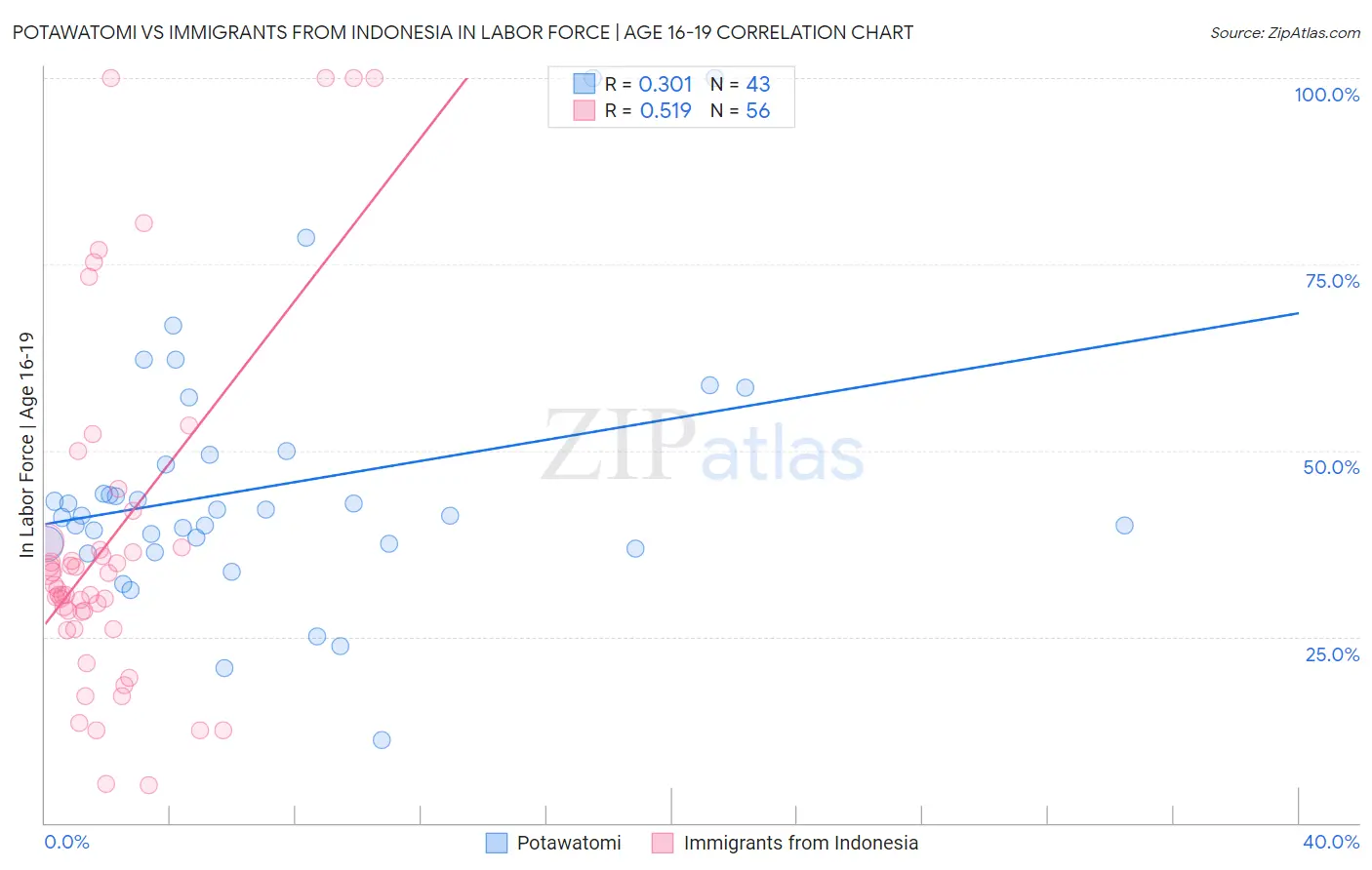 Potawatomi vs Immigrants from Indonesia In Labor Force | Age 16-19