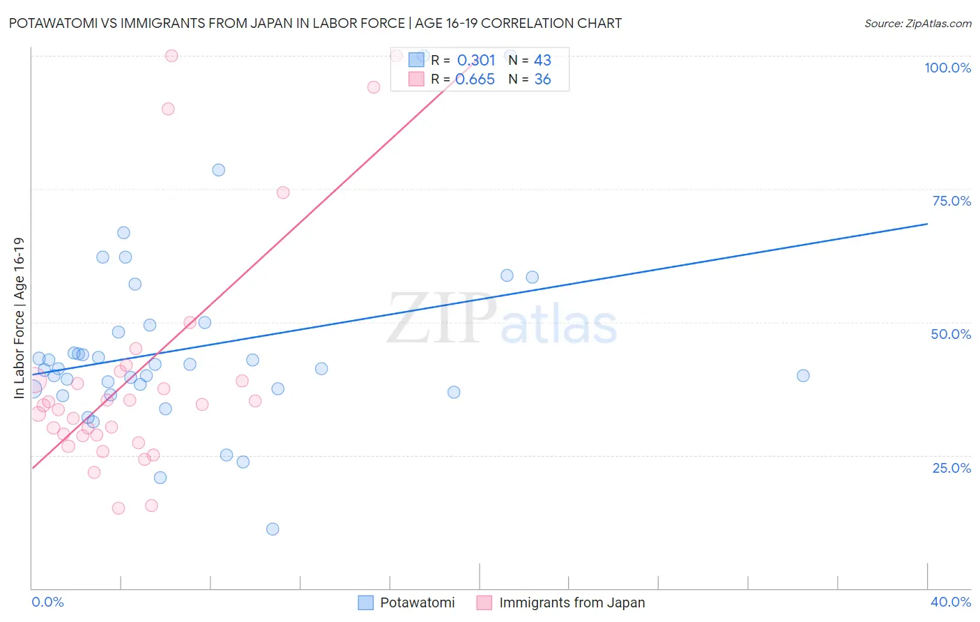 Potawatomi vs Immigrants from Japan In Labor Force | Age 16-19