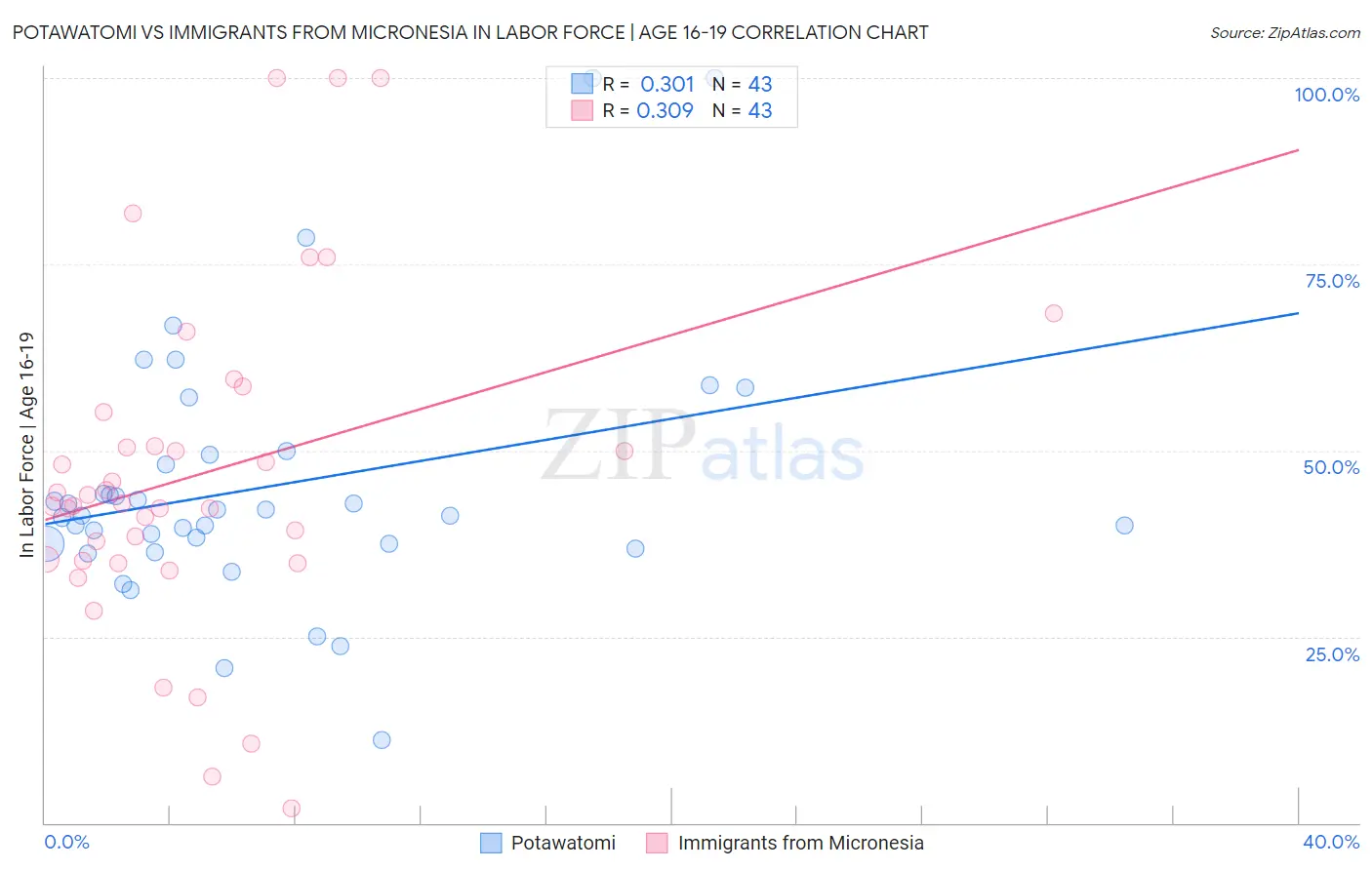 Potawatomi vs Immigrants from Micronesia In Labor Force | Age 16-19