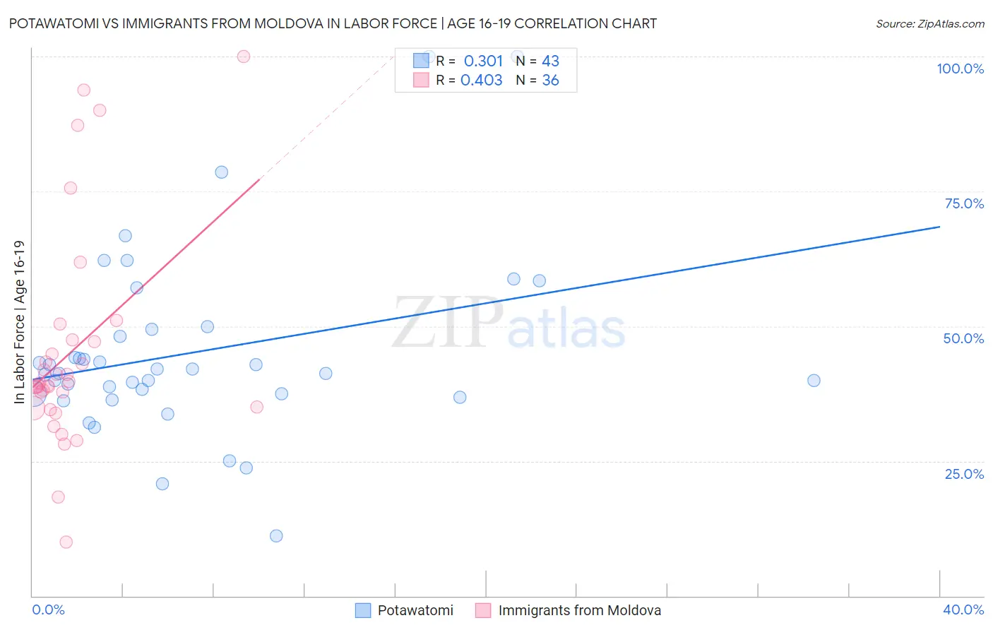 Potawatomi vs Immigrants from Moldova In Labor Force | Age 16-19