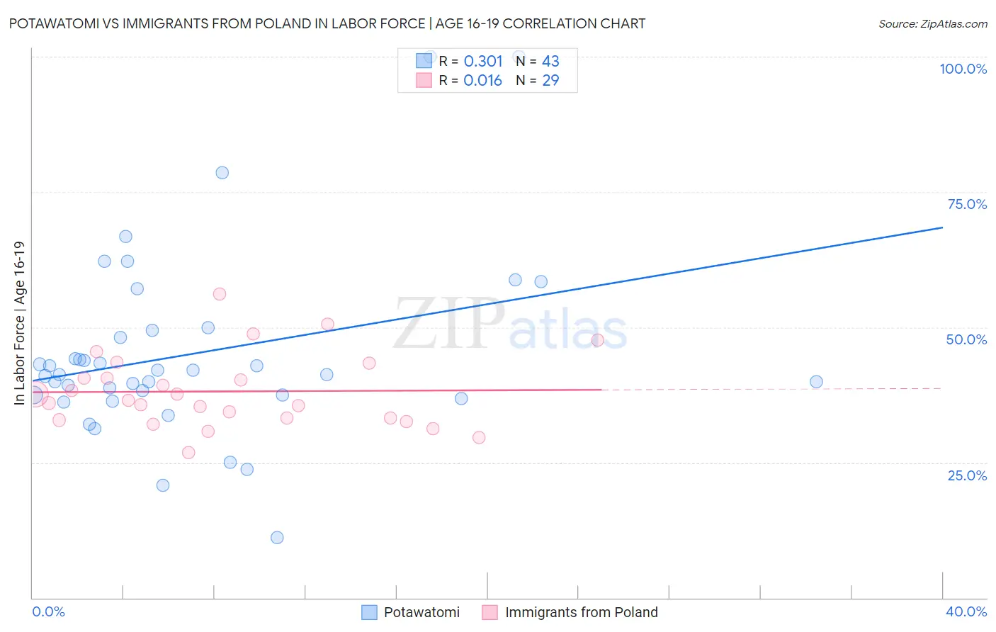 Potawatomi vs Immigrants from Poland In Labor Force | Age 16-19