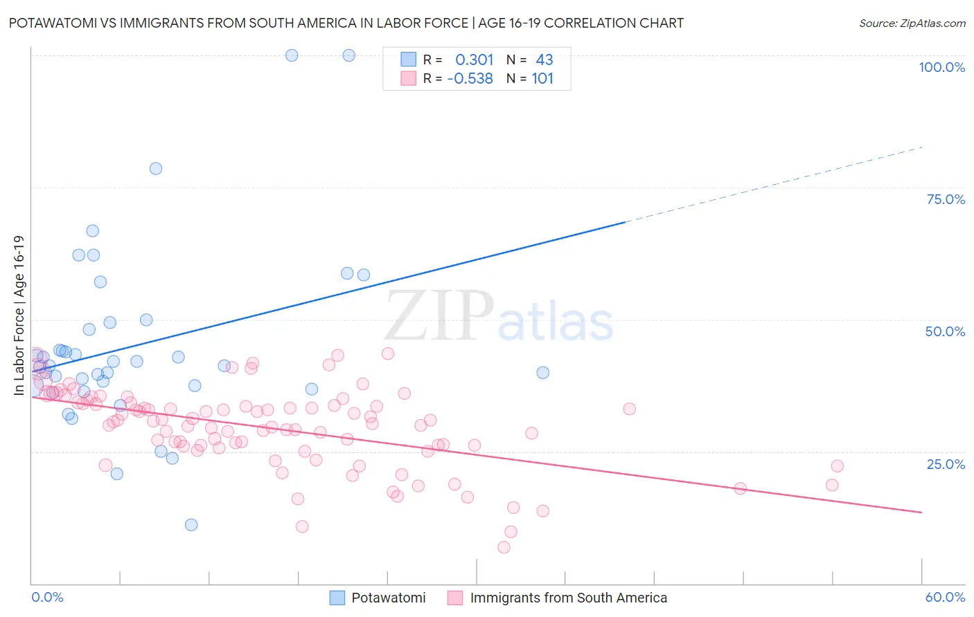 Potawatomi vs Immigrants from South America In Labor Force | Age 16-19