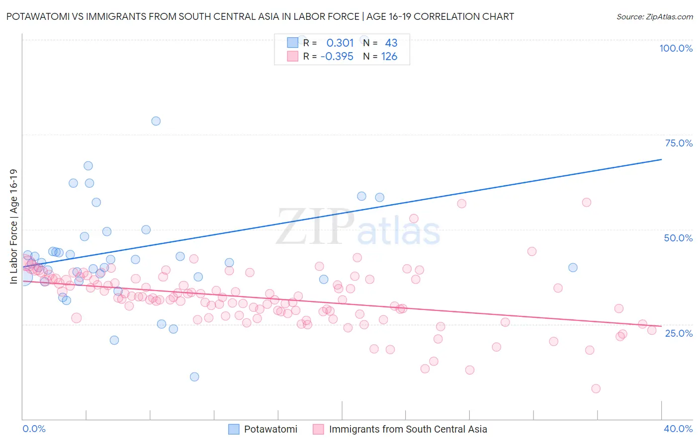 Potawatomi vs Immigrants from South Central Asia In Labor Force | Age 16-19