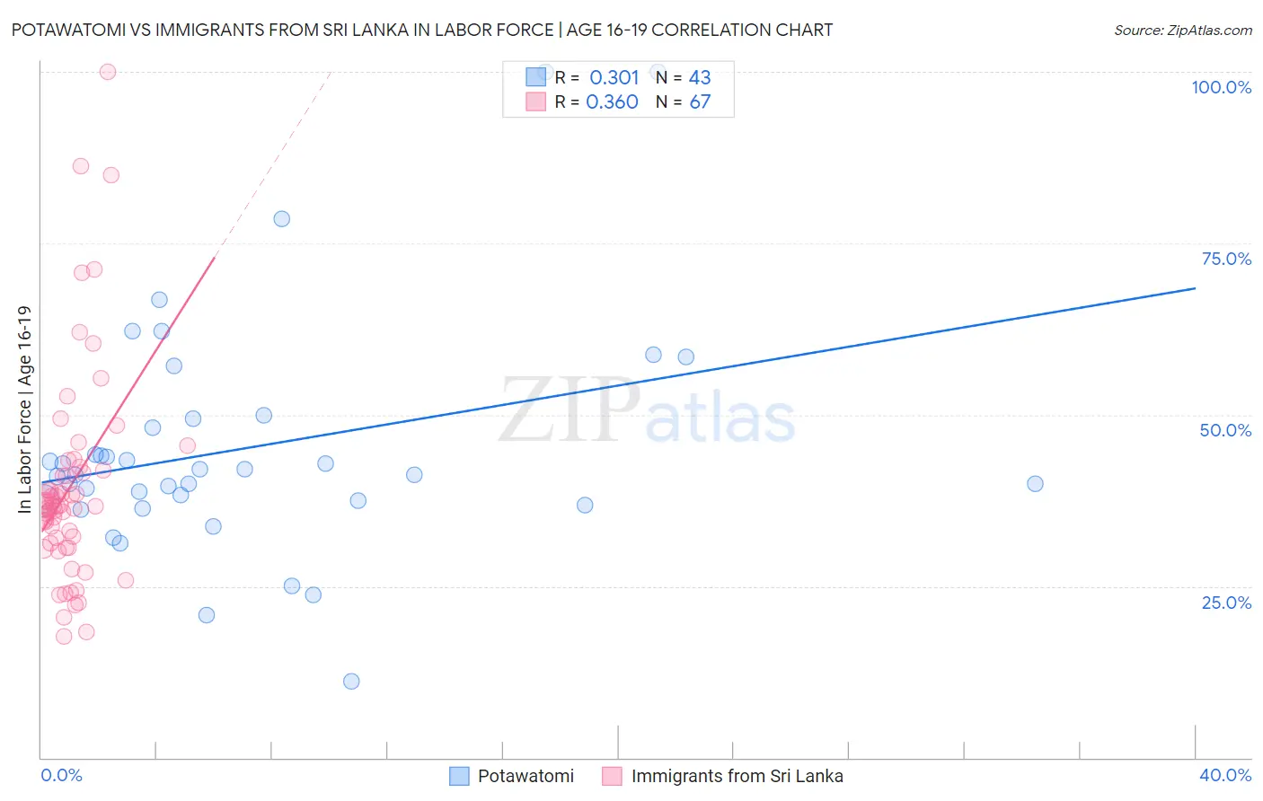 Potawatomi vs Immigrants from Sri Lanka In Labor Force | Age 16-19
